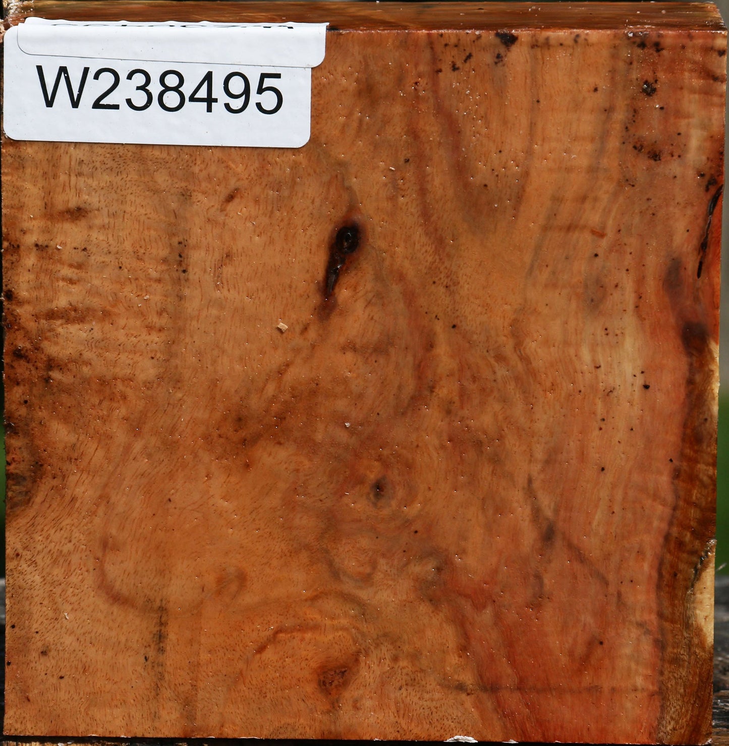 Figured Carob Bowl Blank