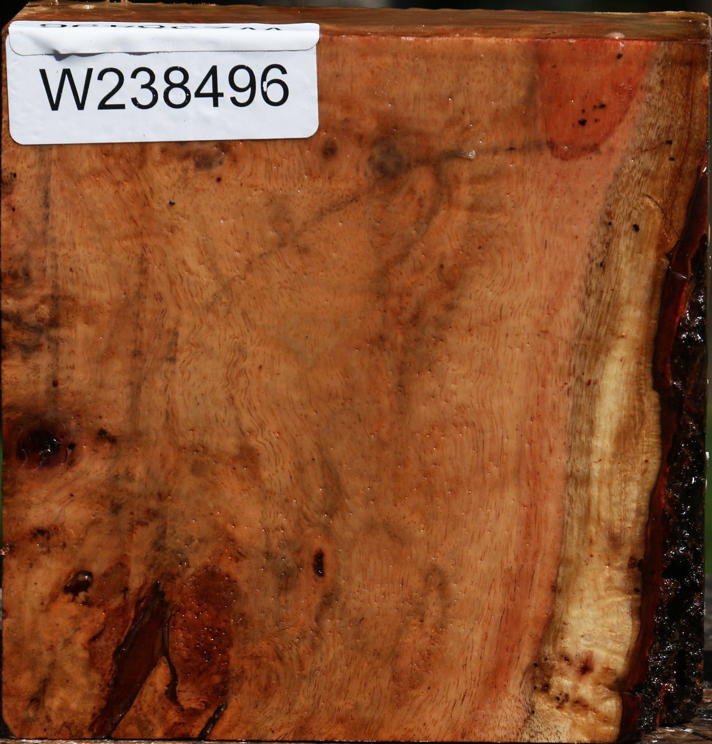 Figured Carob Bowl Blank