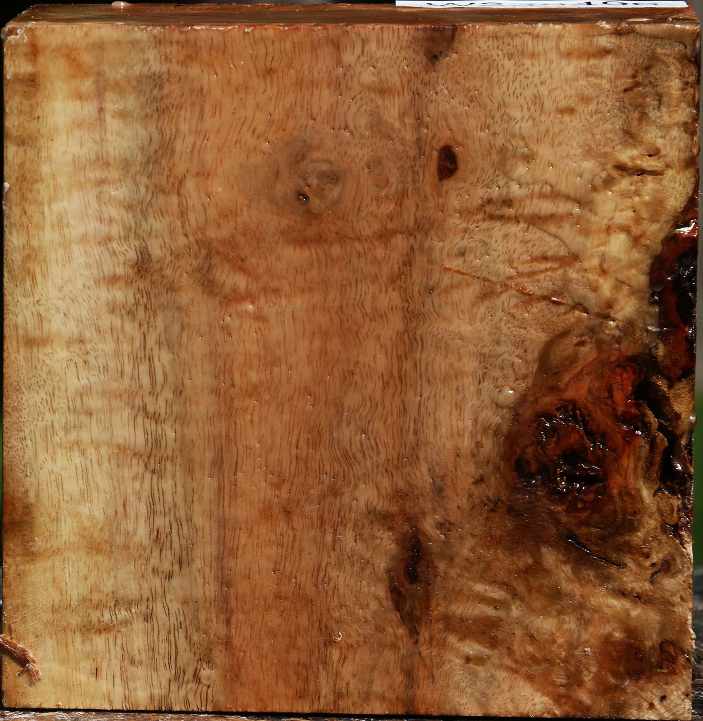 Figured Carob Bowl Blank