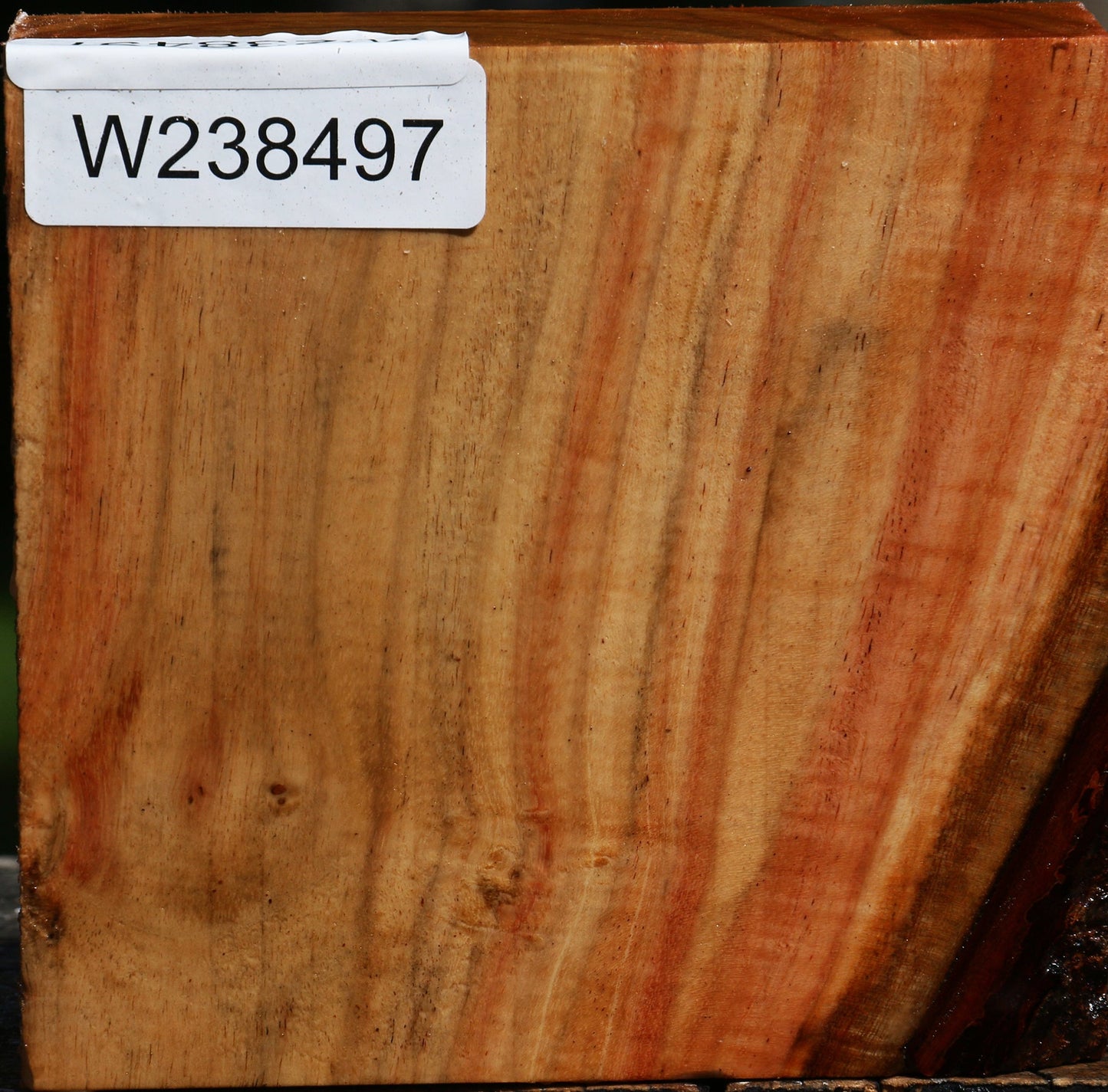 Figured Carob Bowl Blank