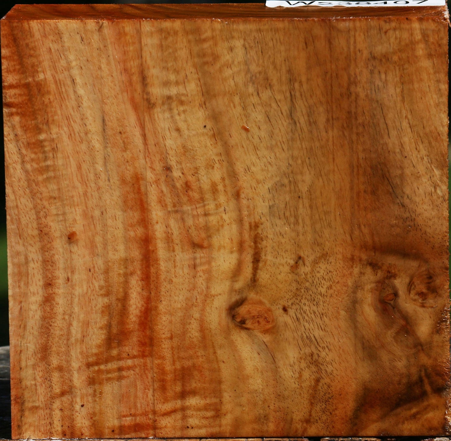 Figured Carob Bowl Blank