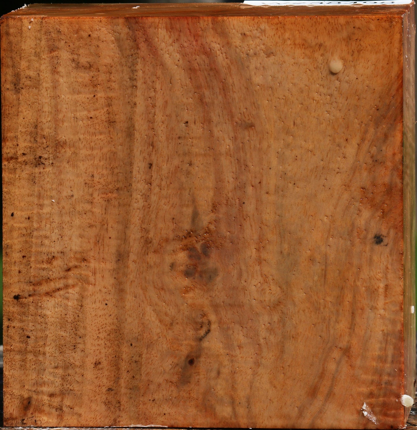 Figured Carob Bowl Blank