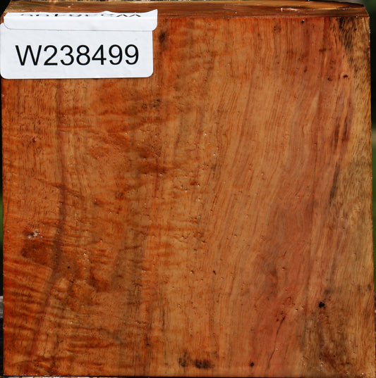 Figured Carob Bowl Blank