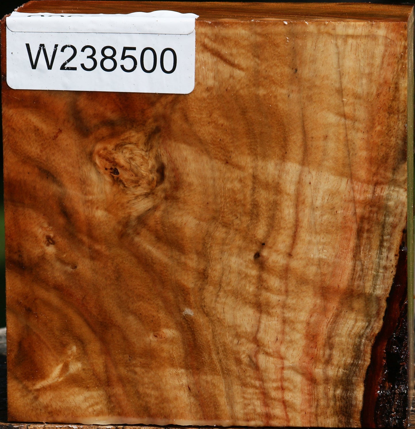 Extra Fancy Carob Bowl Blank