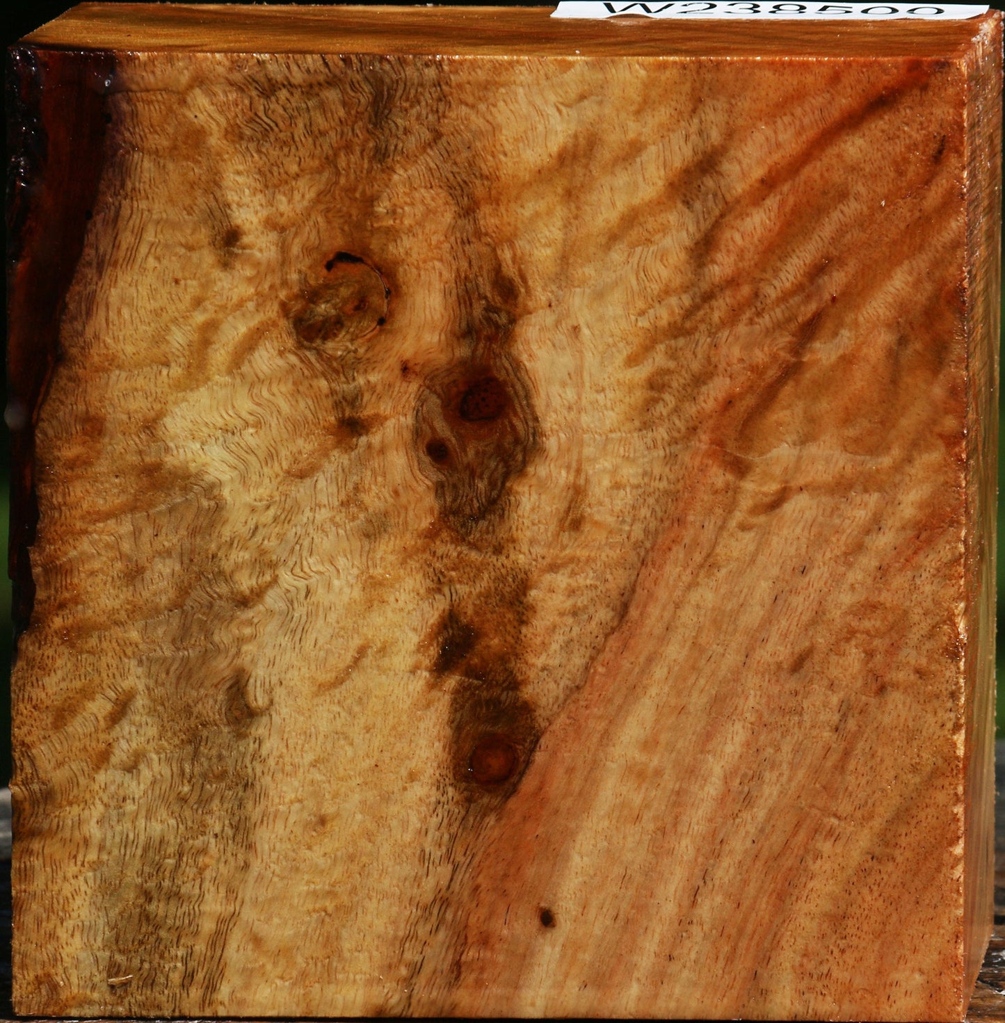 Extra Fancy Carob Bowl Blank