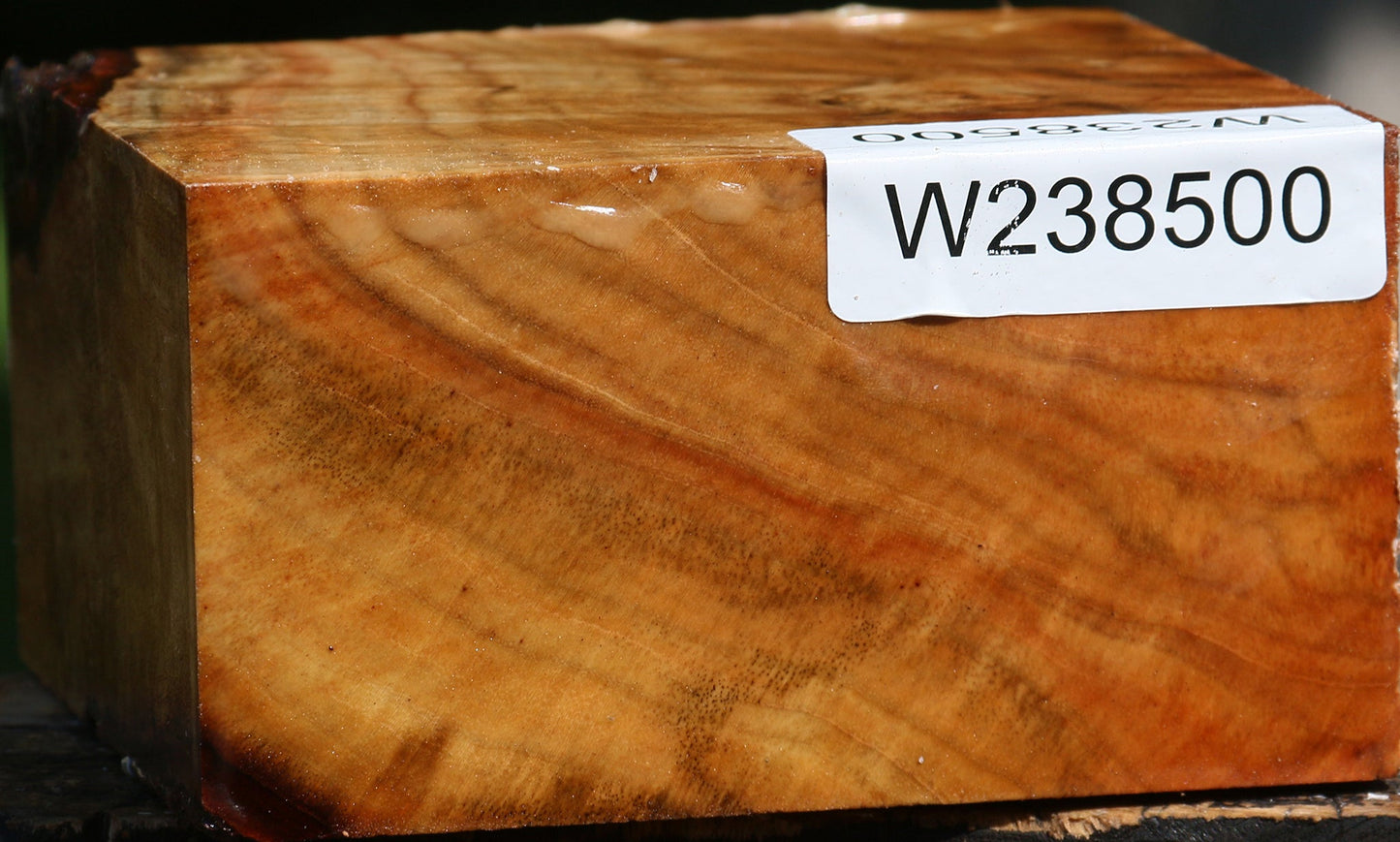 Extra Fancy Carob Bowl Blank