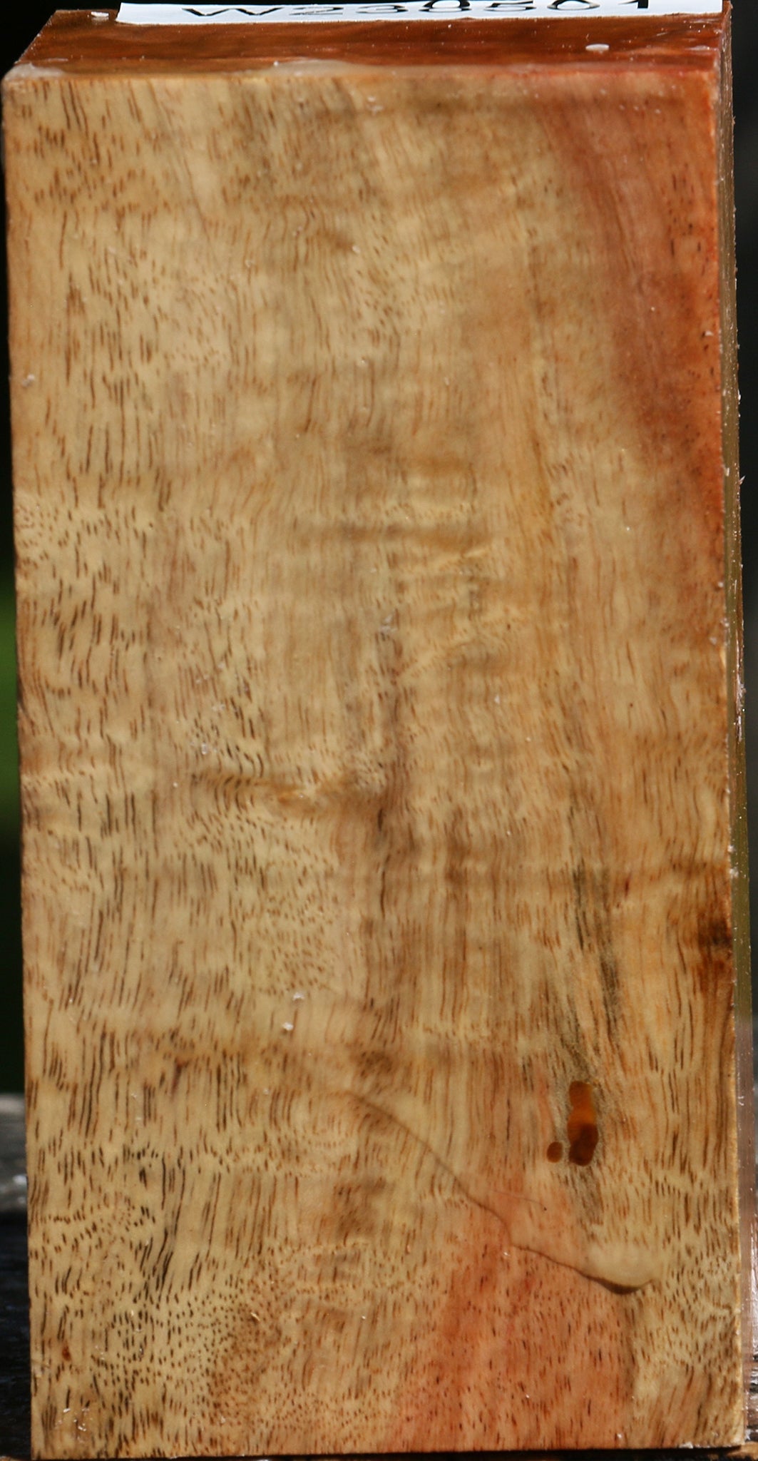 Figured Carob Turning Square