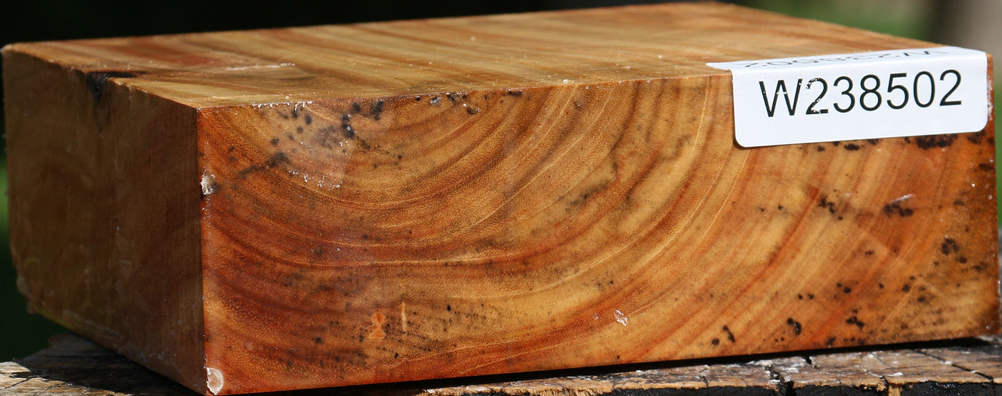 Figured Carob Bowl Blank