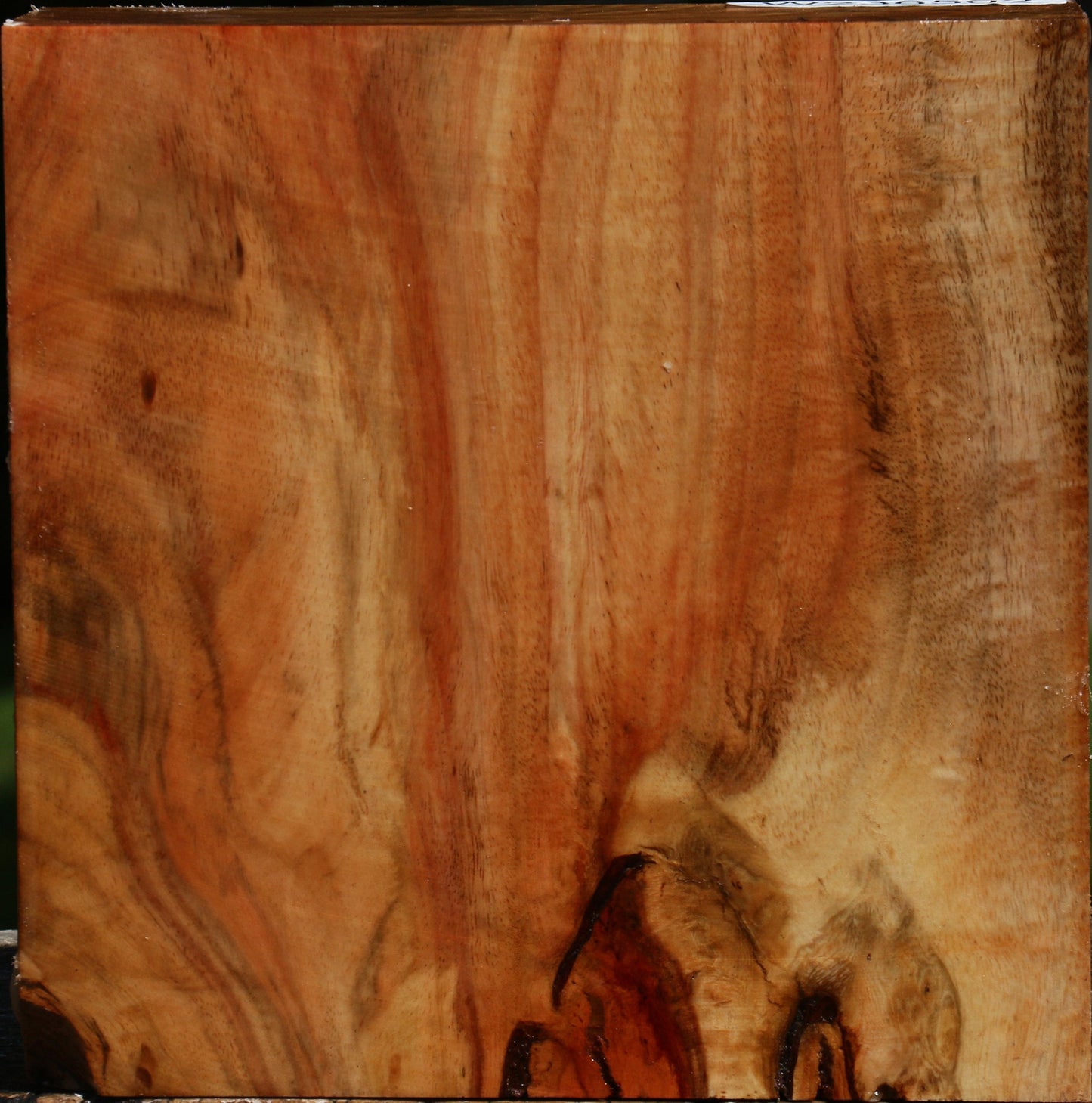 Figured Carob Bowl Blank