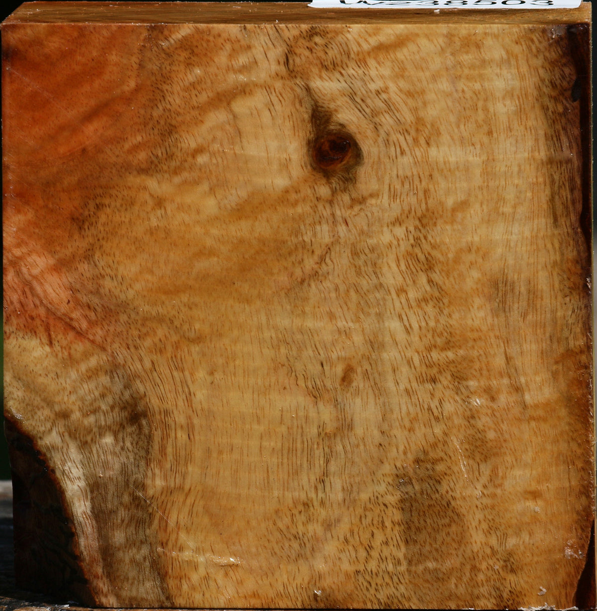 Figured Carob Bowl Blank