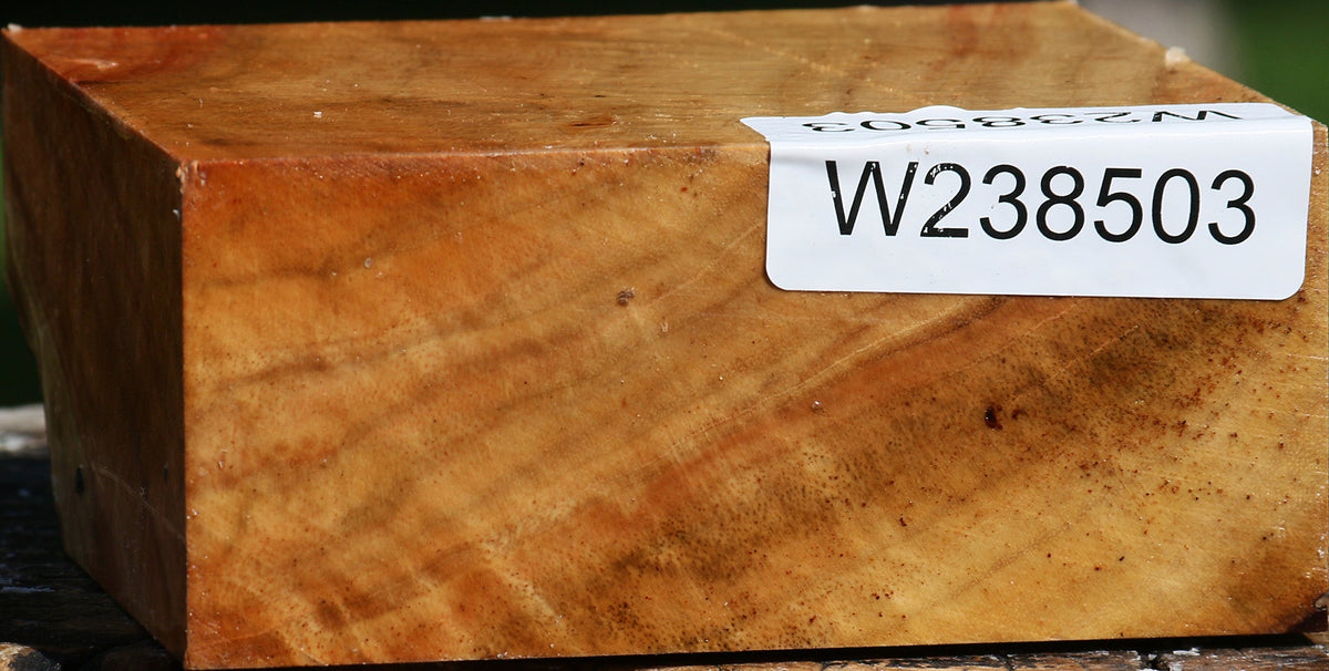 Figured Carob Bowl Blank