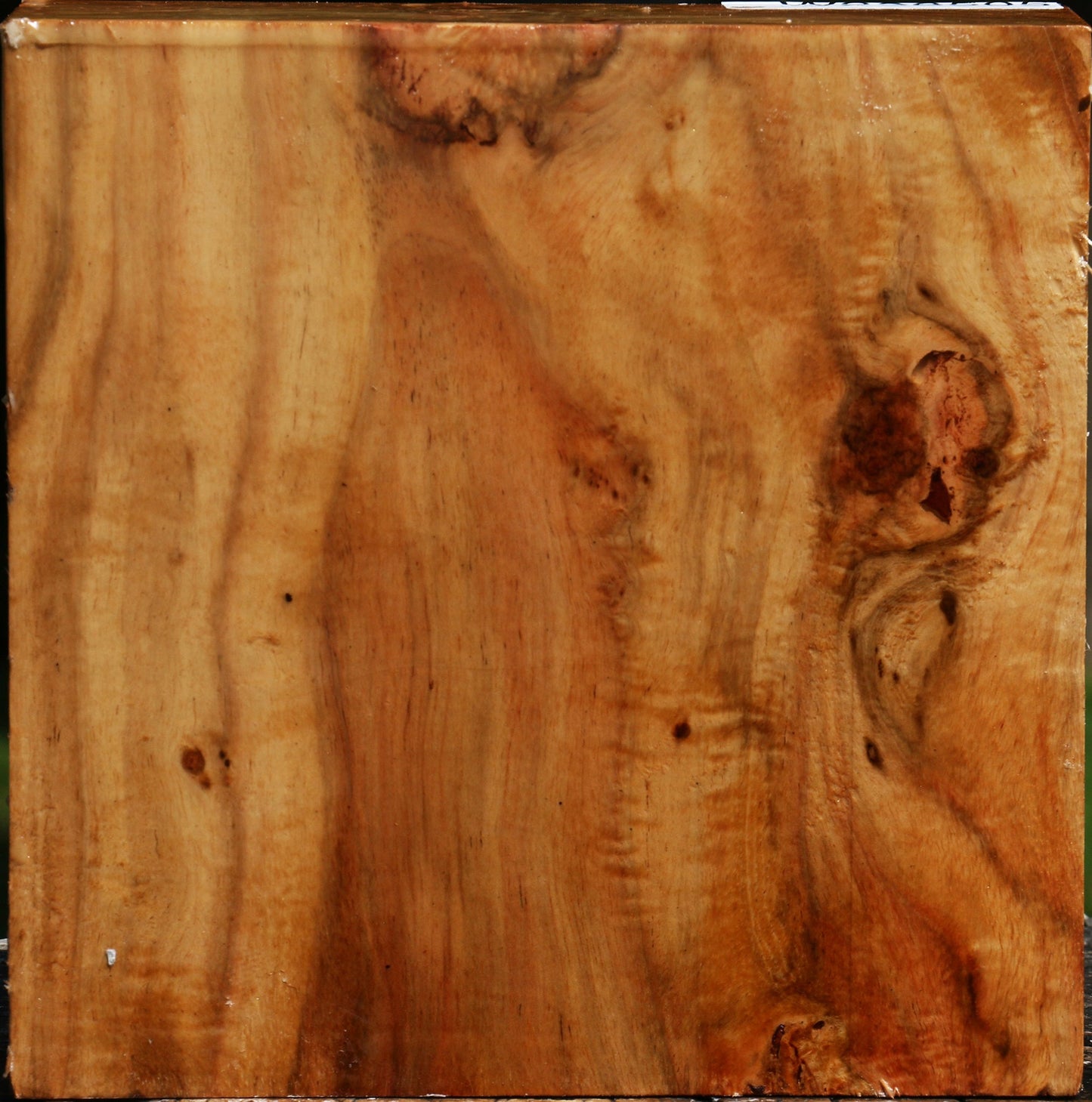 Figured Carob Bowl Blank