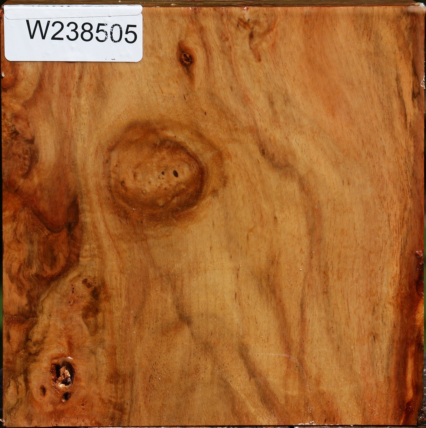 Figured Carob Bowl Blank