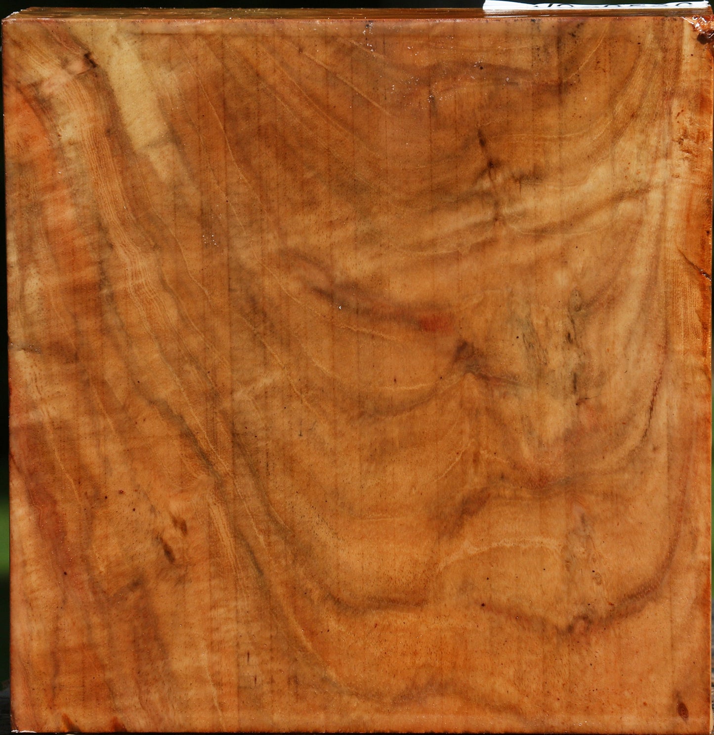 Extra Fancy Carob Bowl Blank