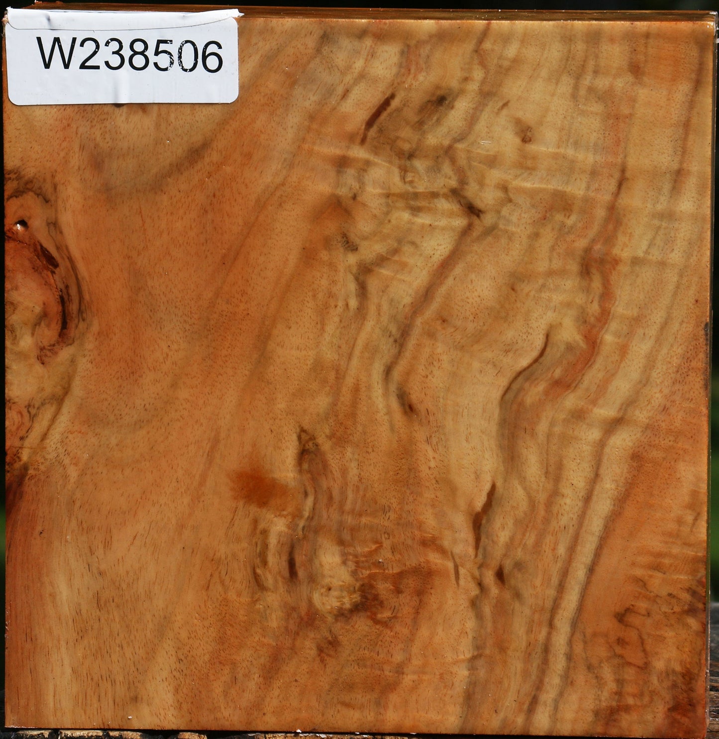 Extra Fancy Carob Bowl Blank