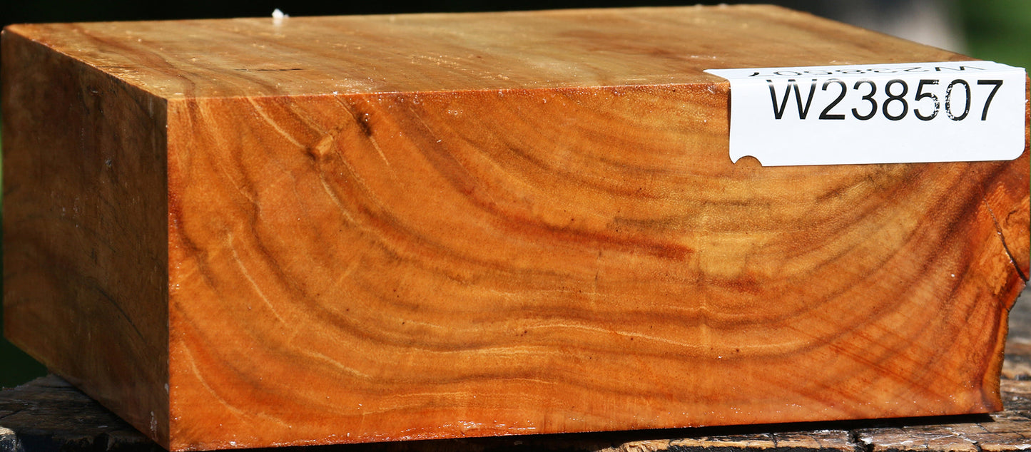 Figured Carob Bowl Blank