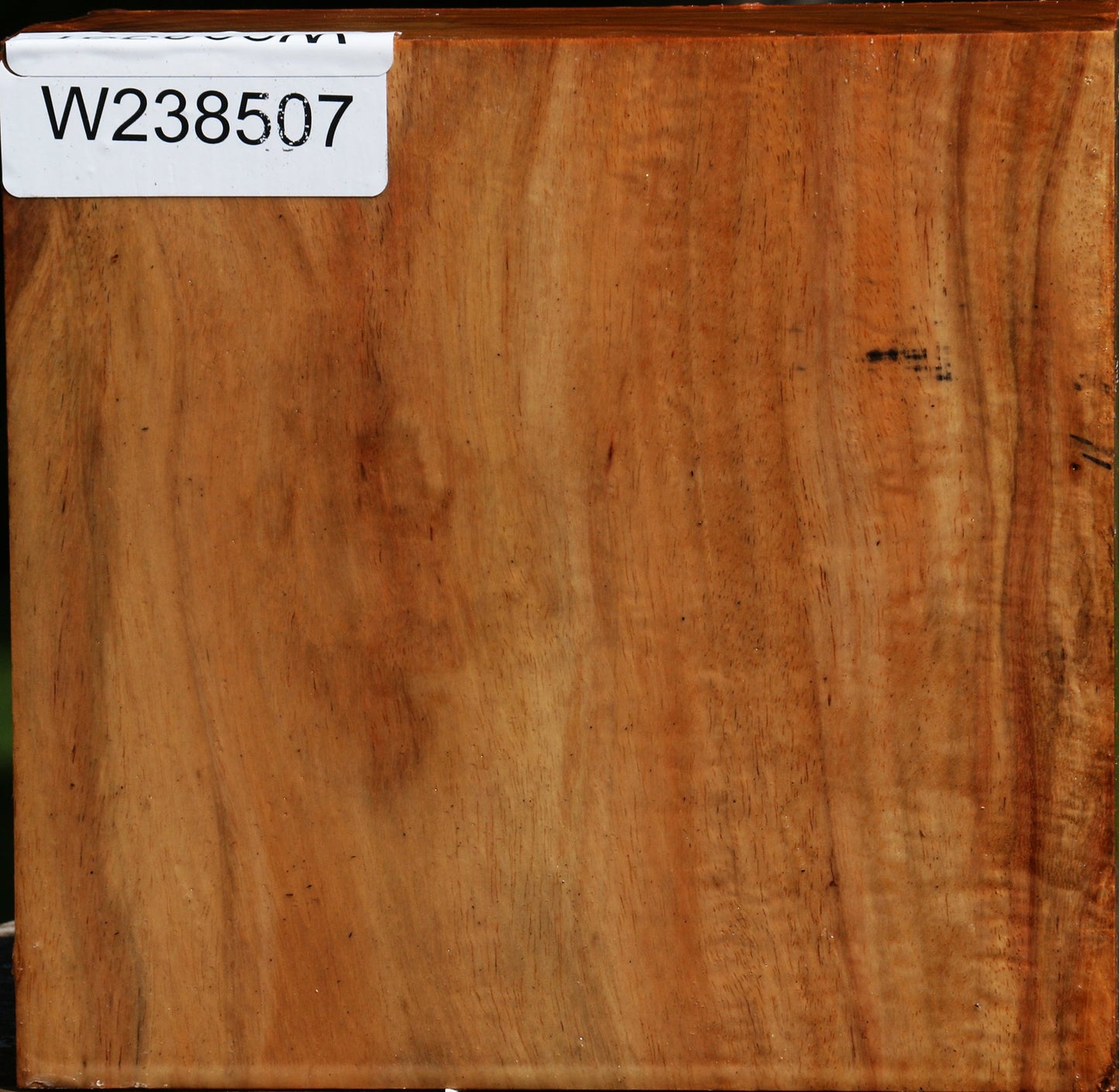 Figured Carob Bowl Blank