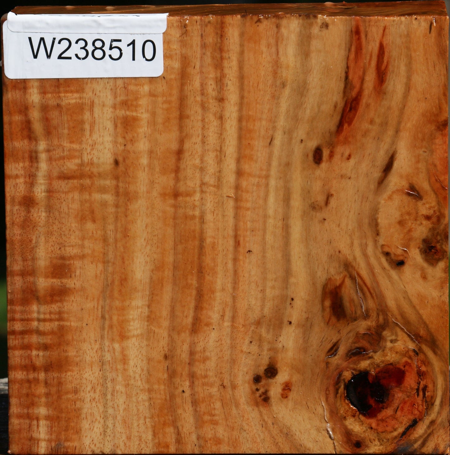 Figured Carob Bowl Blank