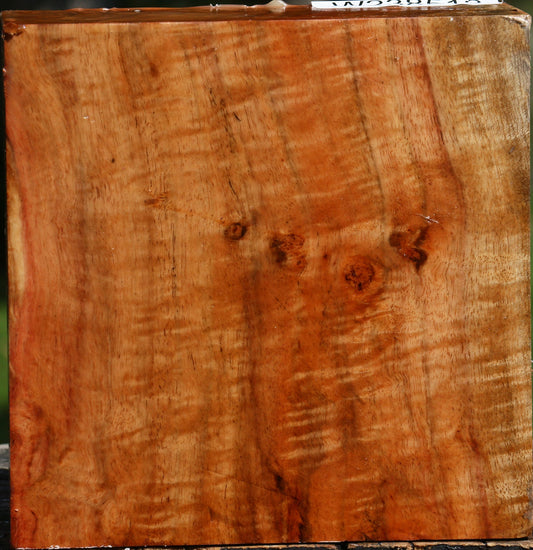 Extra Fancy Carob Bowl Blank