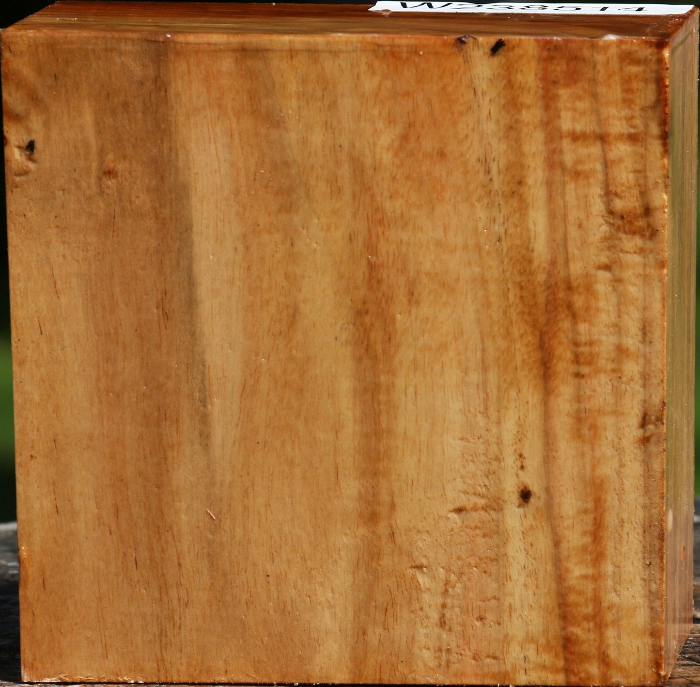 Carob Bowl Blank