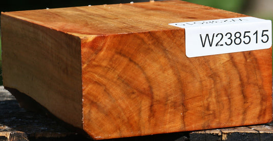 Extra Fancy Carob Bowl Blank