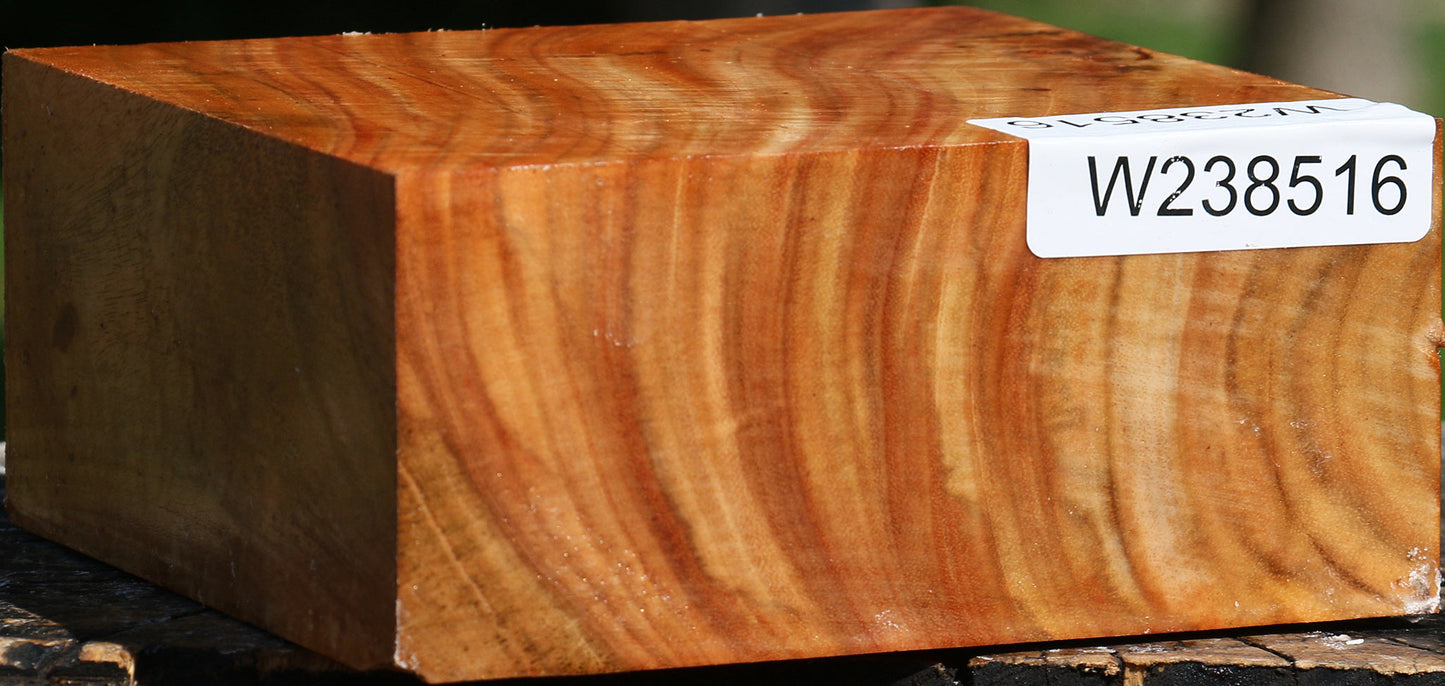 Extra Fancy Carob Bowl Blank