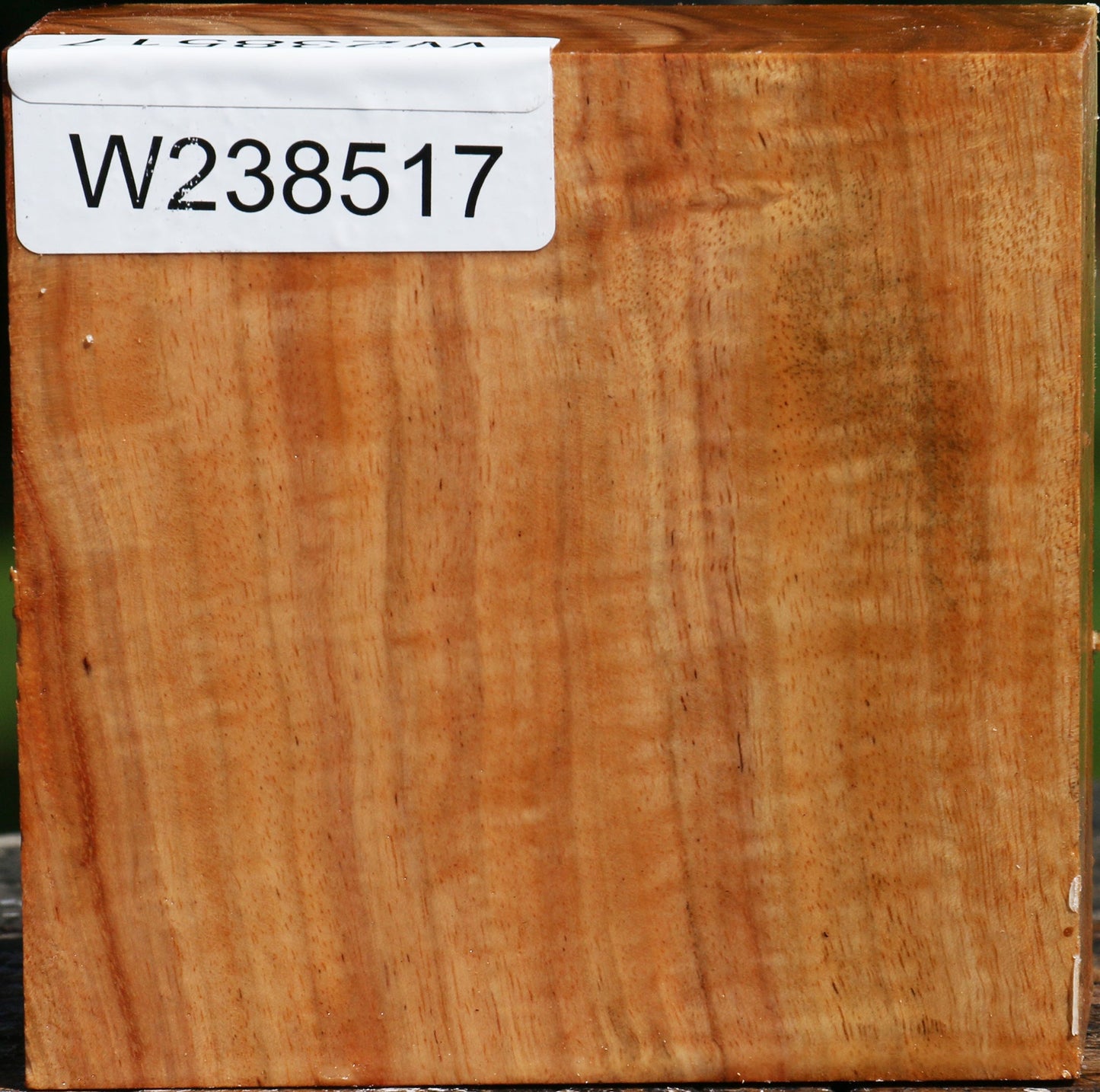 Figured Carob Bowl Blank