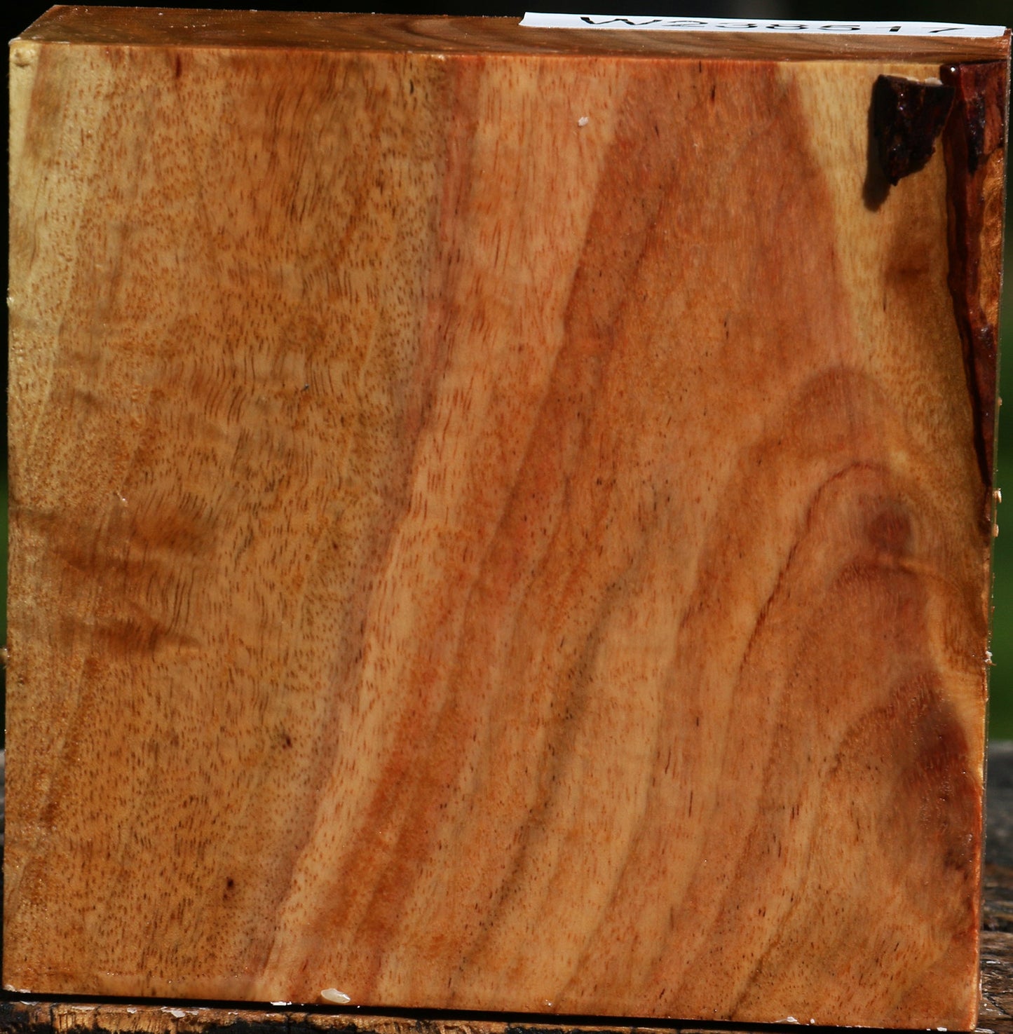 Figured Carob Bowl Blank