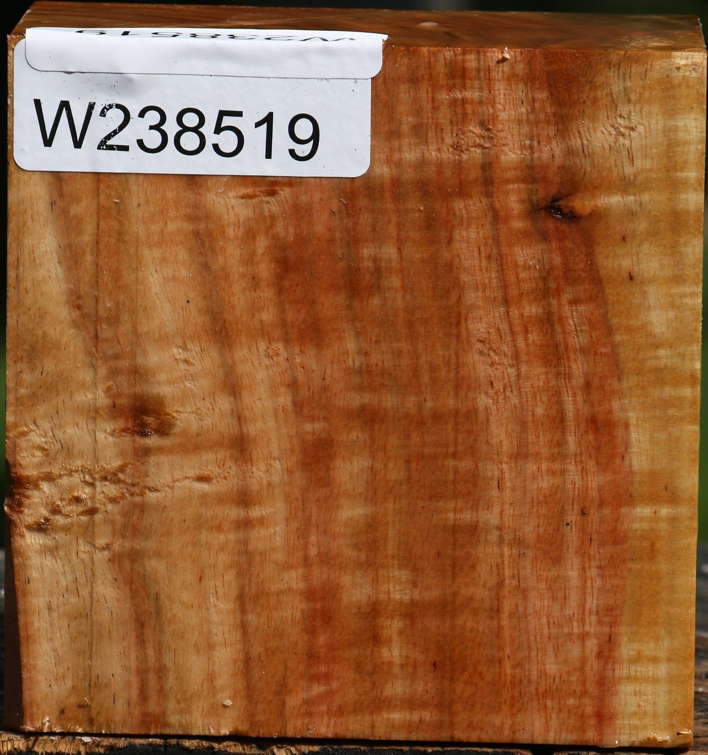Figured Carob Bowl Blank