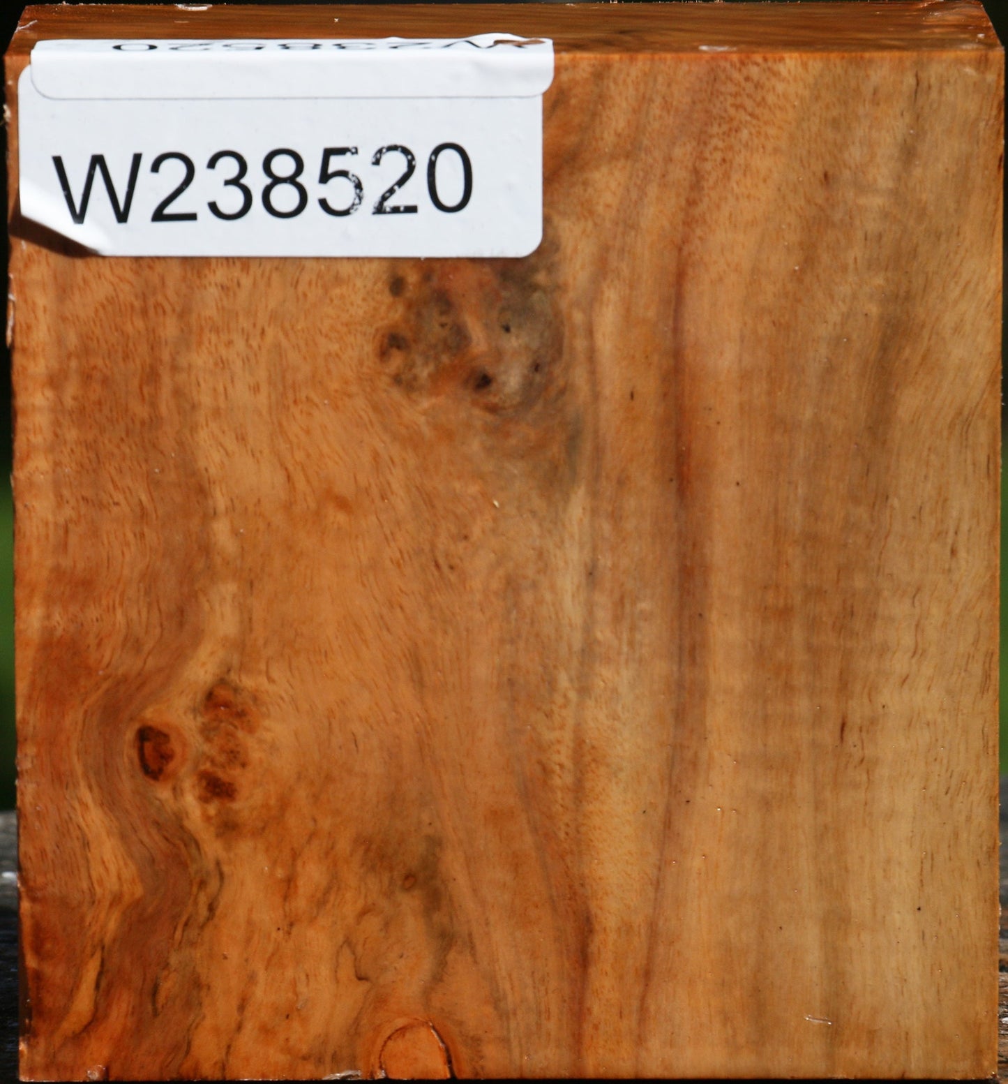 Figured Carob Bowl Blank