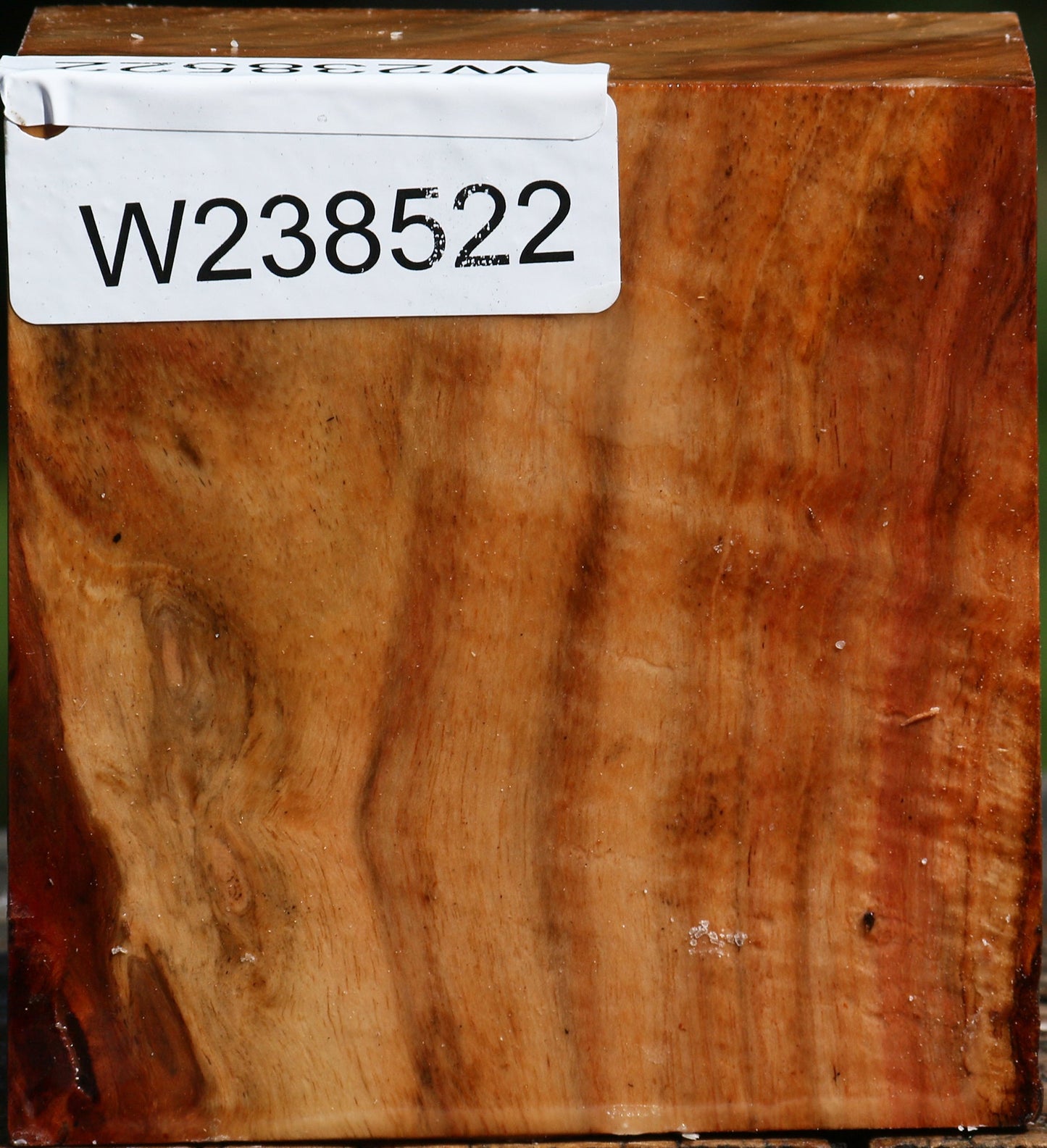 Extra Fancy Carob Bowl Blank