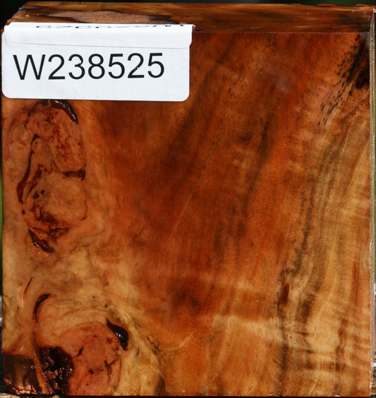 Figured Rustic Carob Bowl Blank