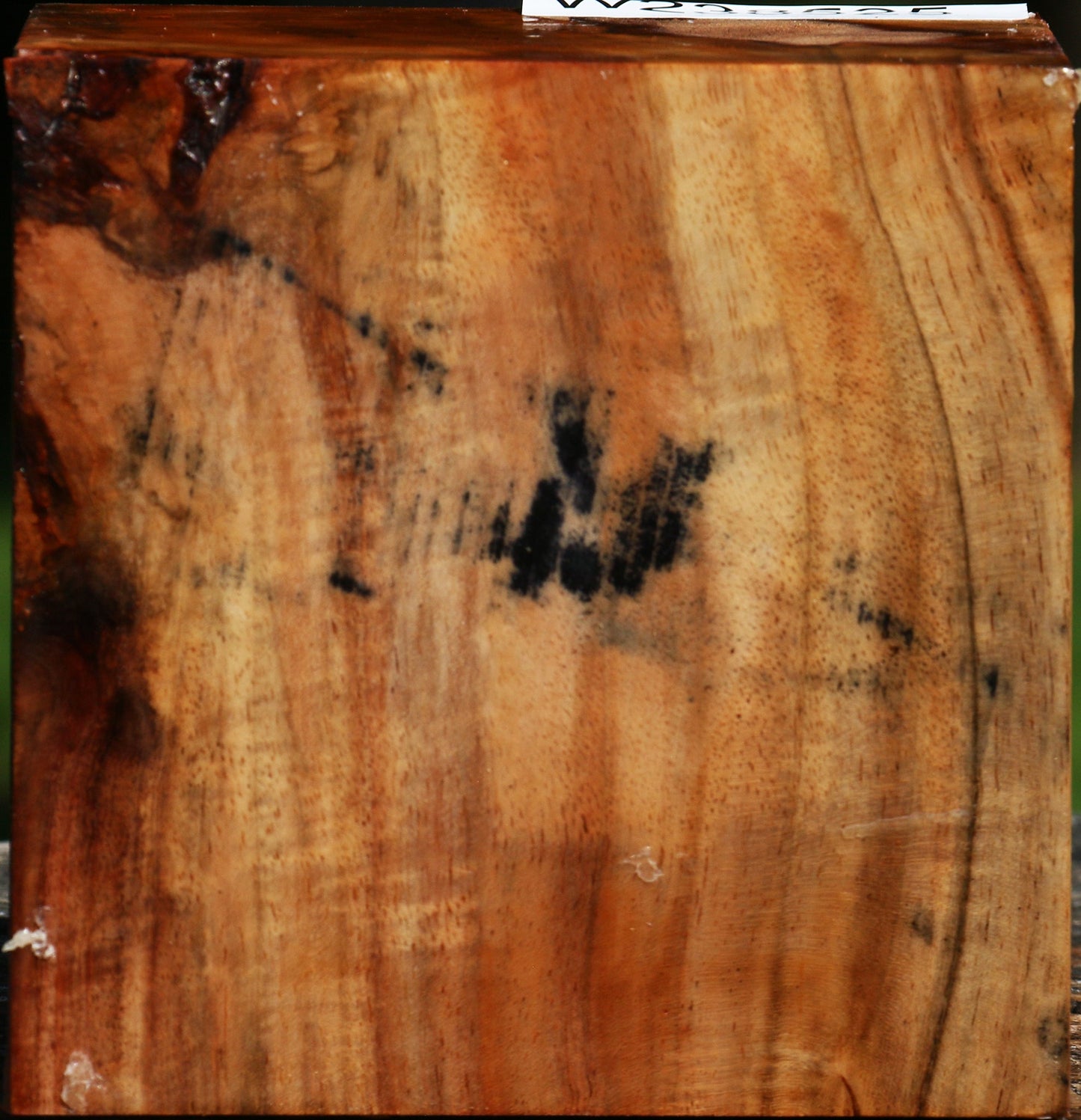 Figured Rustic Carob Bowl Blank