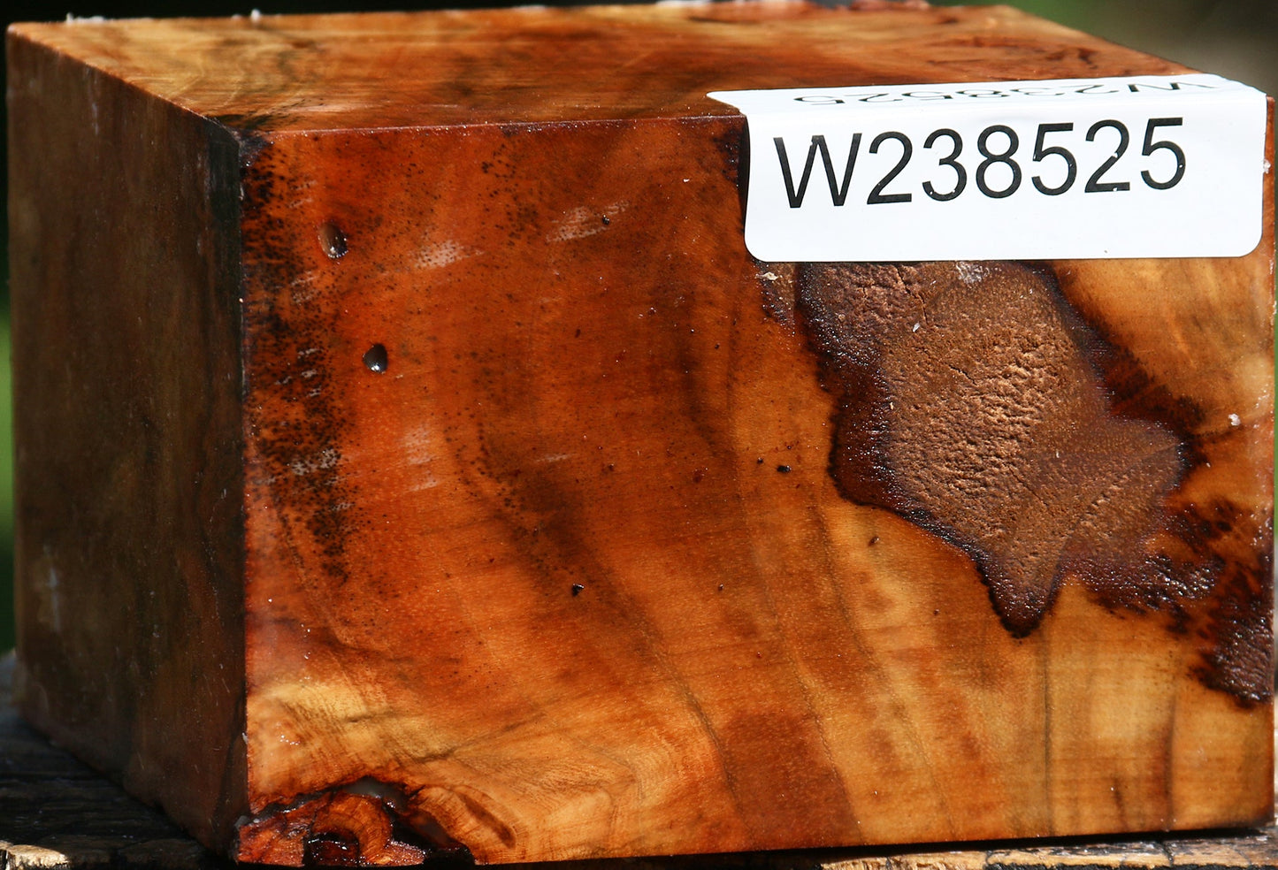 Figured Rustic Carob Bowl Blank