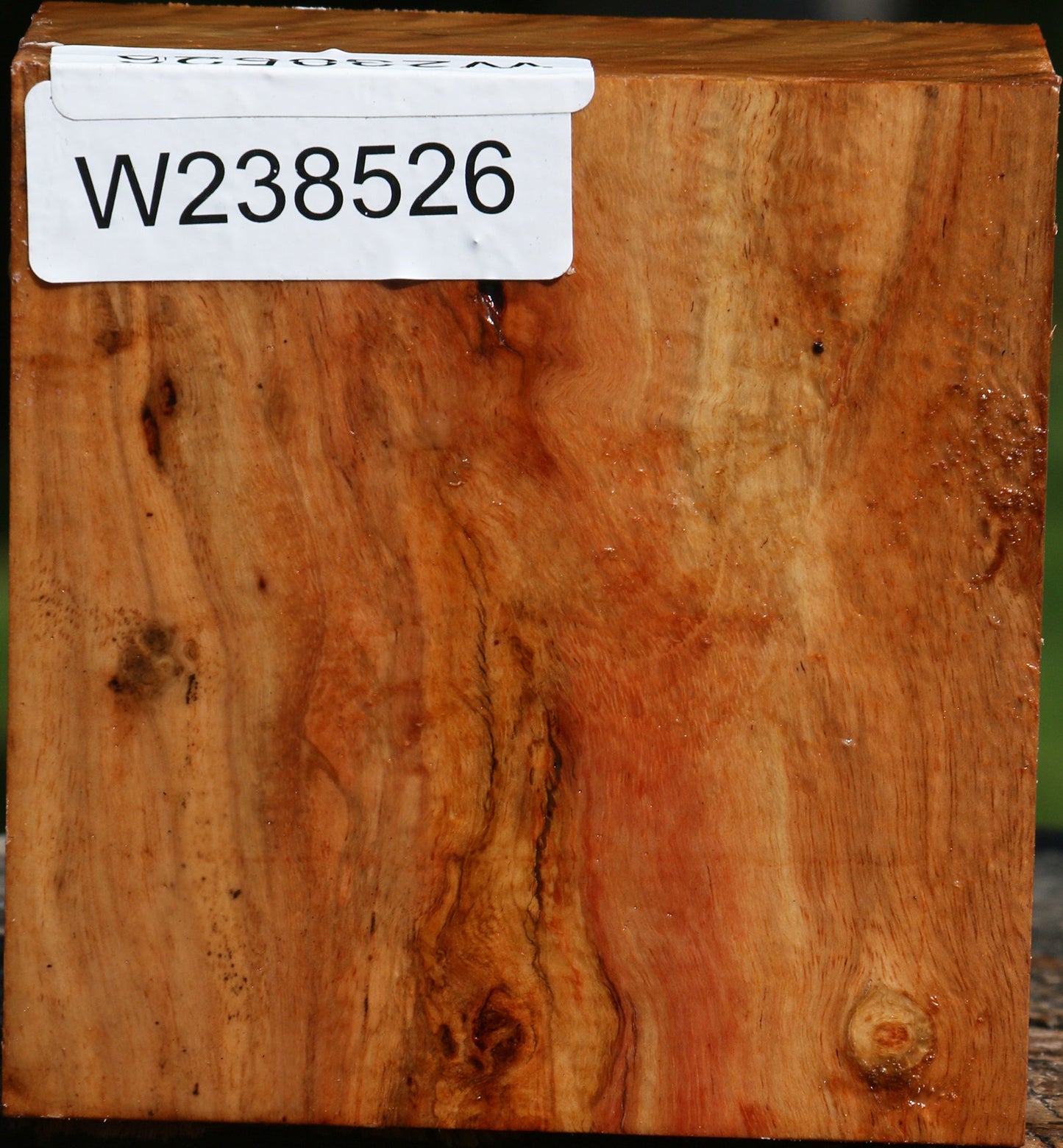 Figured Carob Bowl Blank