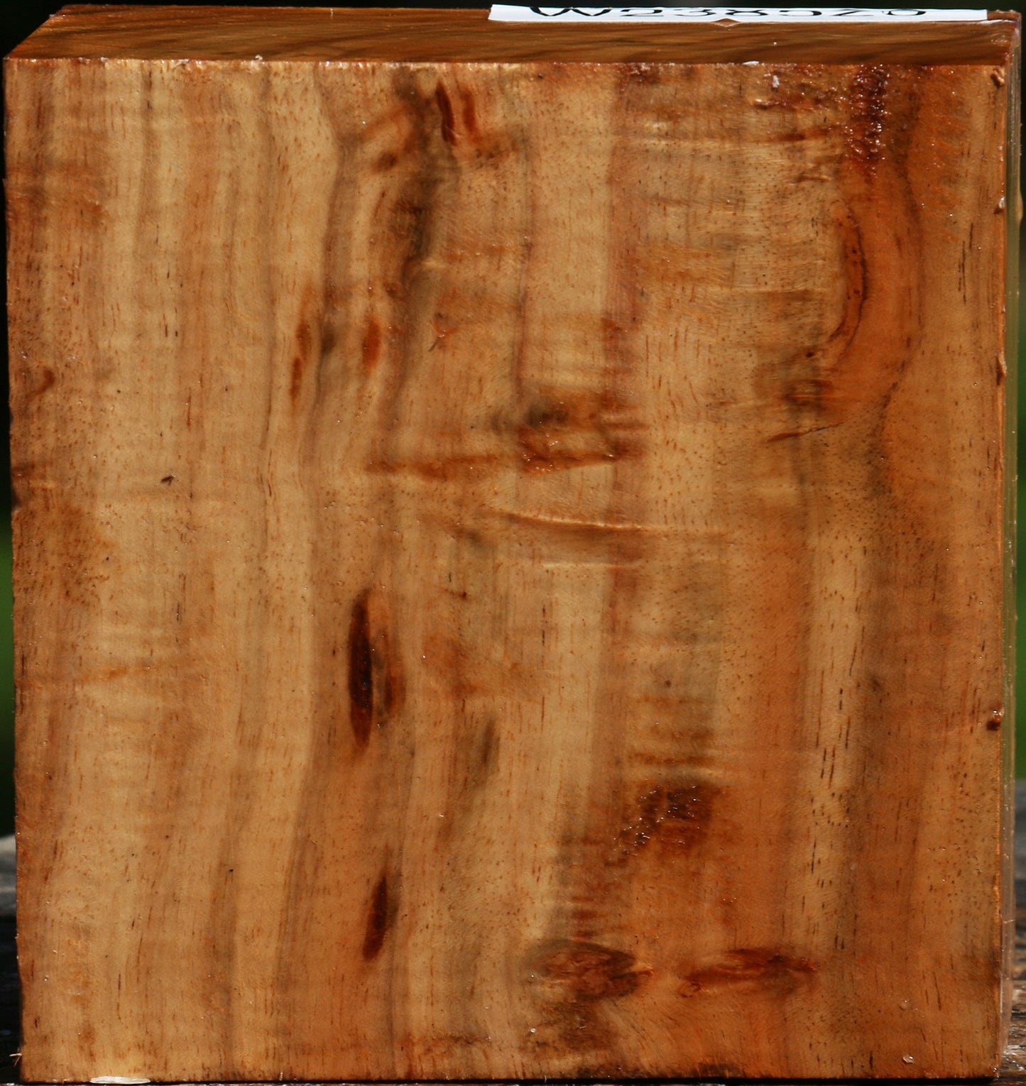 Figured Carob Bowl Blank