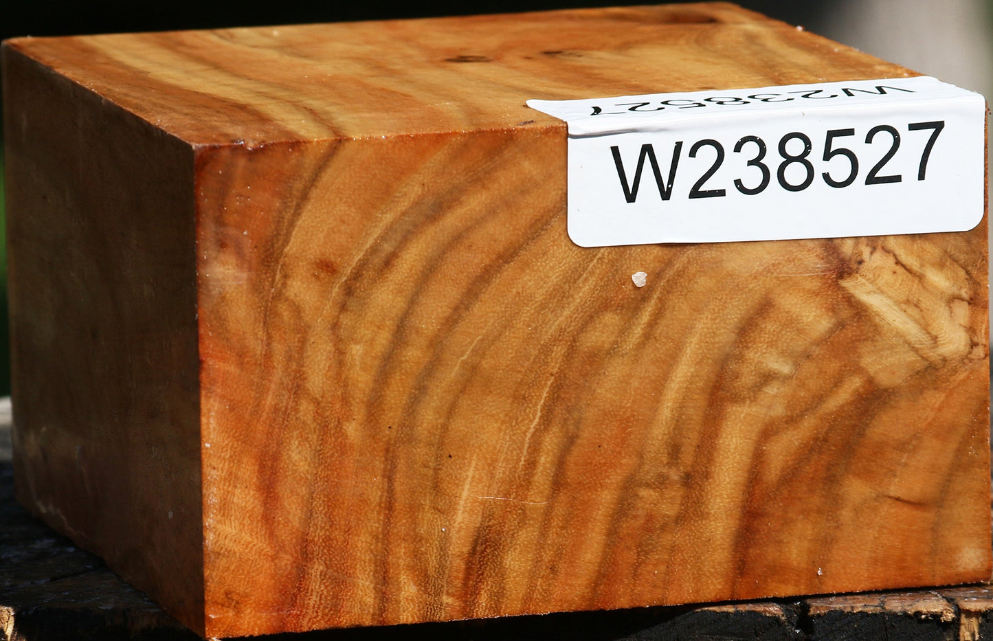 Figured Carob Bowl Blank