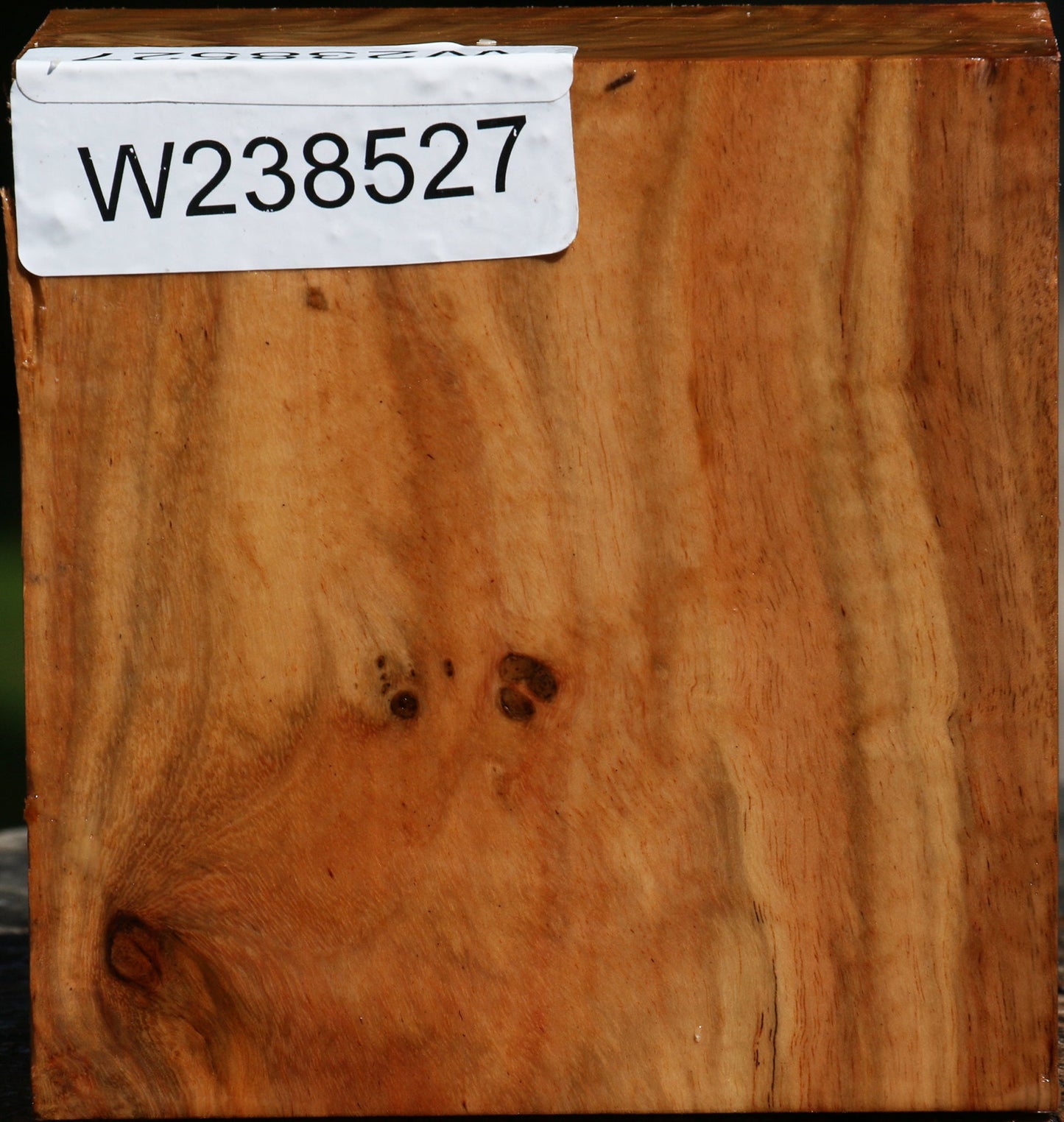 Figured Carob Bowl Blank