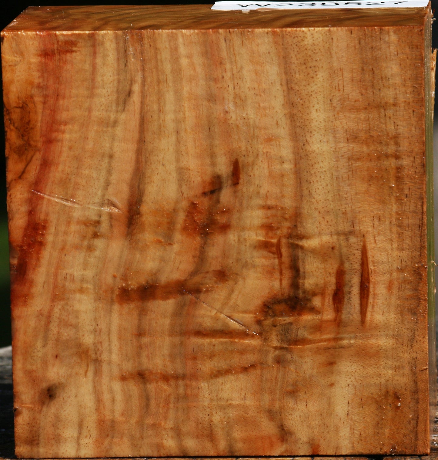 Figured Carob Bowl Blank