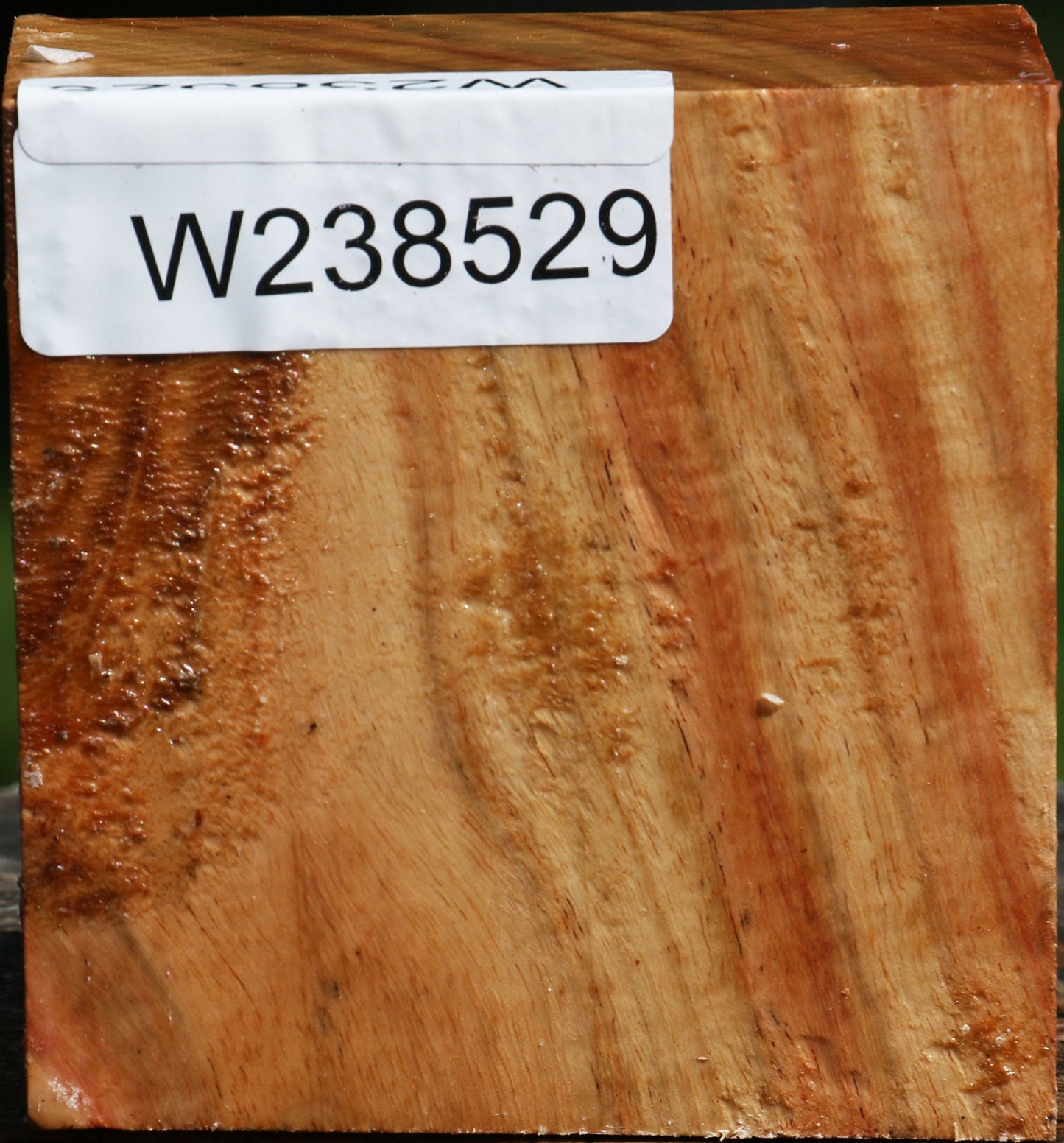 Figured Carob Bowl Blank