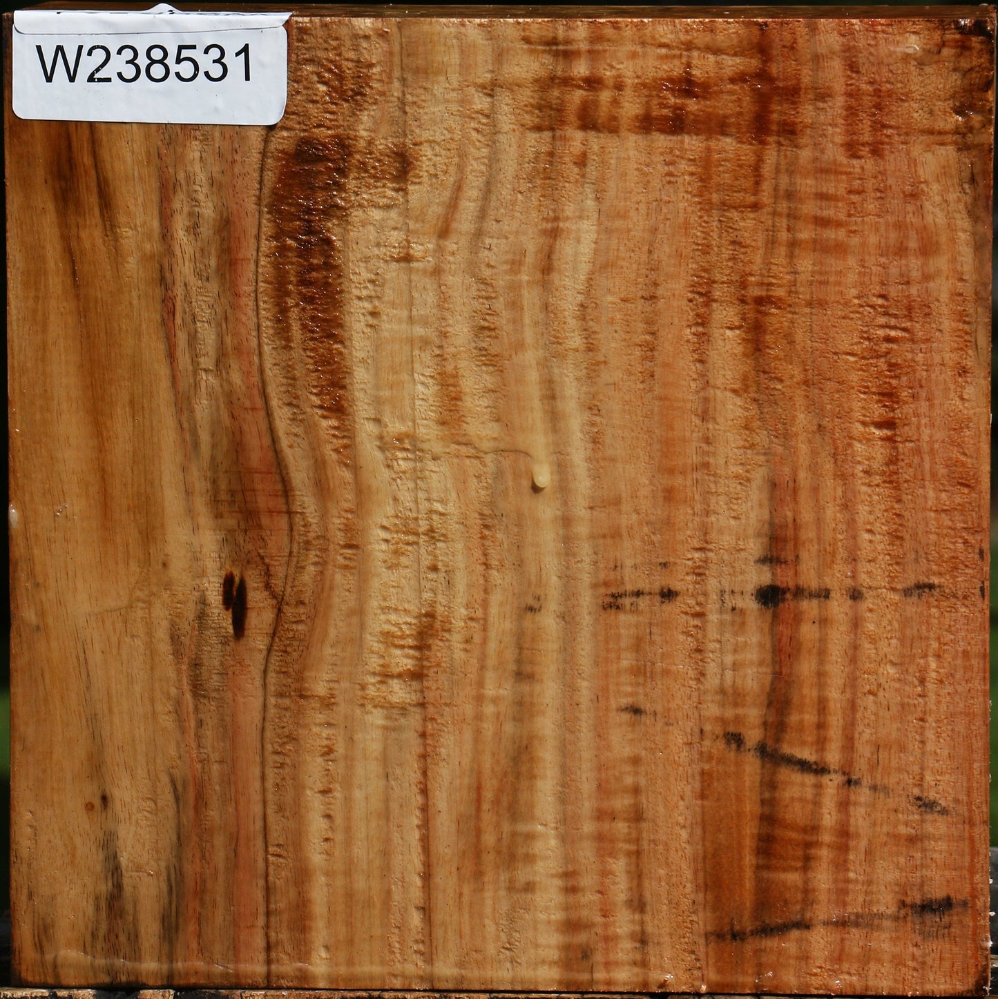 Figured Carob Bowl Blank