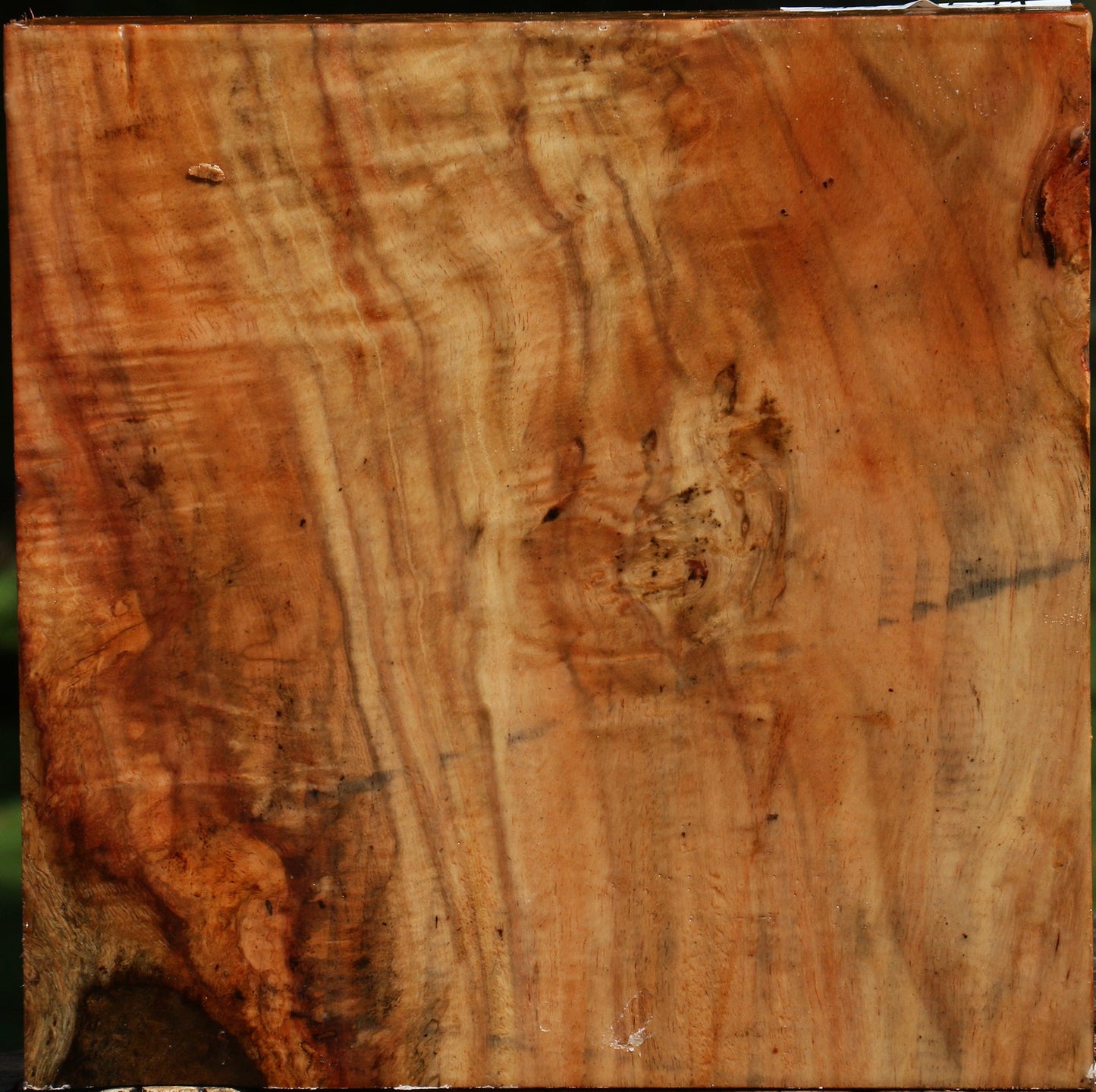 Figured Carob Bowl Blank