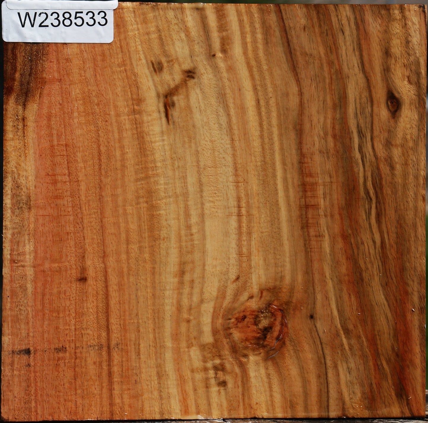 Extra Fancy Carob Bowl Blank