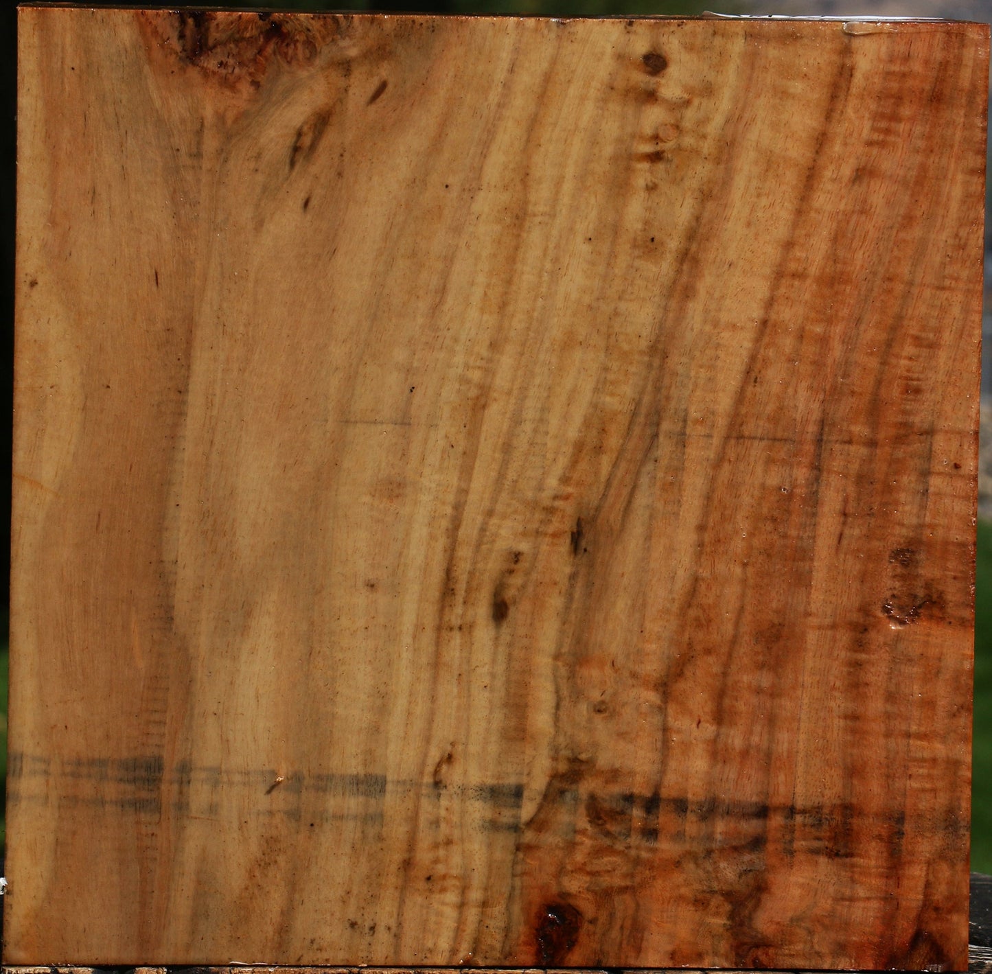 Extra Fancy Carob Bowl Blank