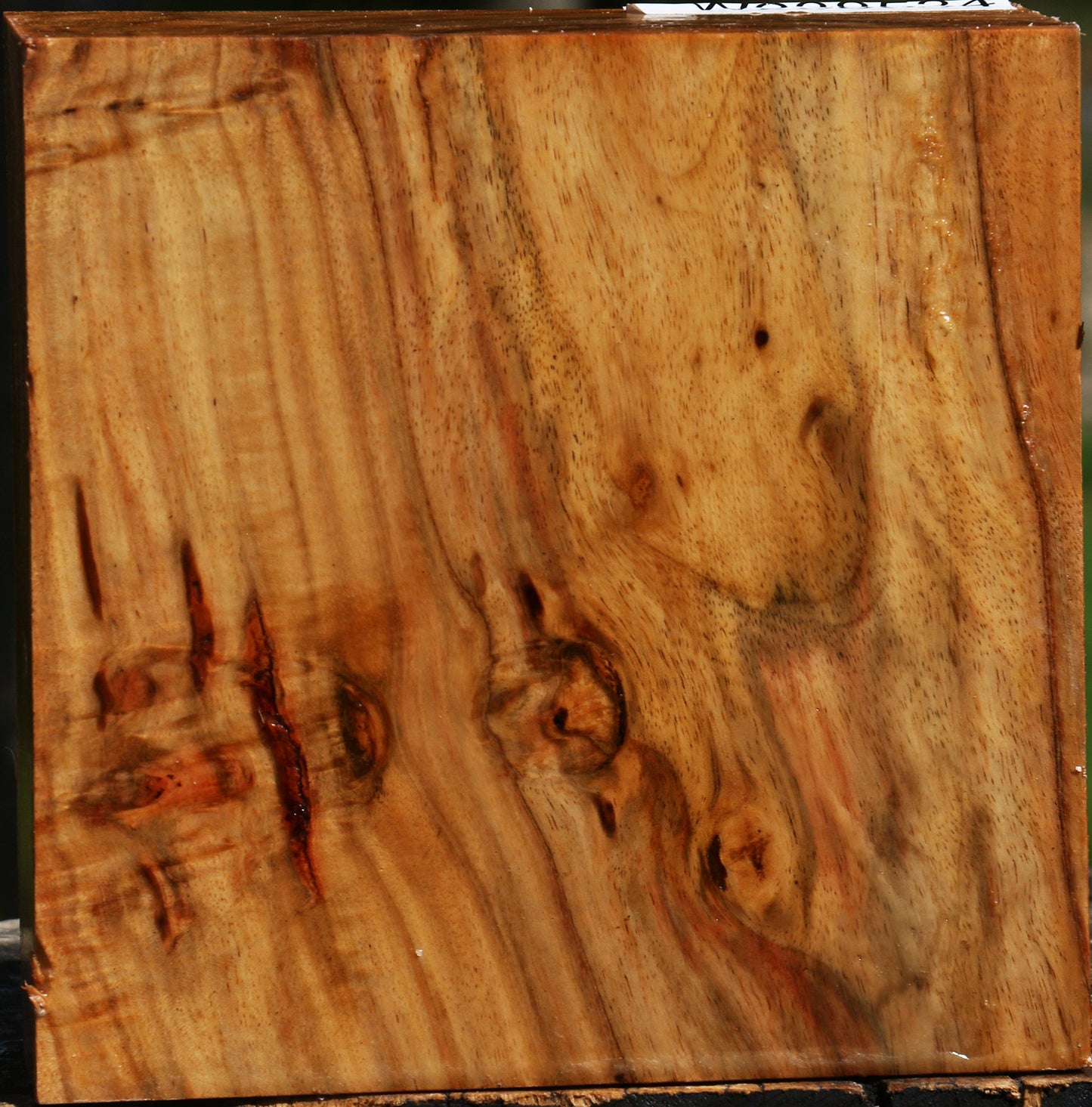 Figured Carob Bowl Blank