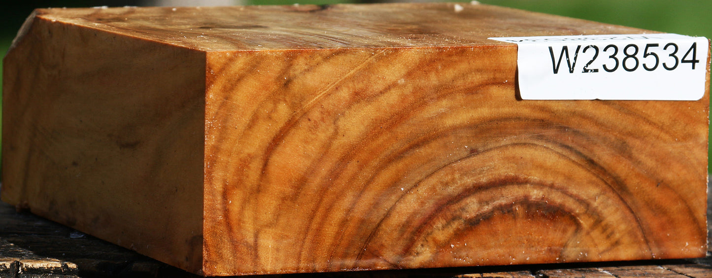 Figured Carob Bowl Blank