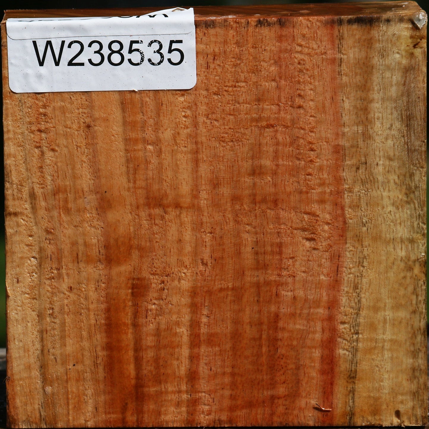 Extra Fancy Carob Bowl Blank