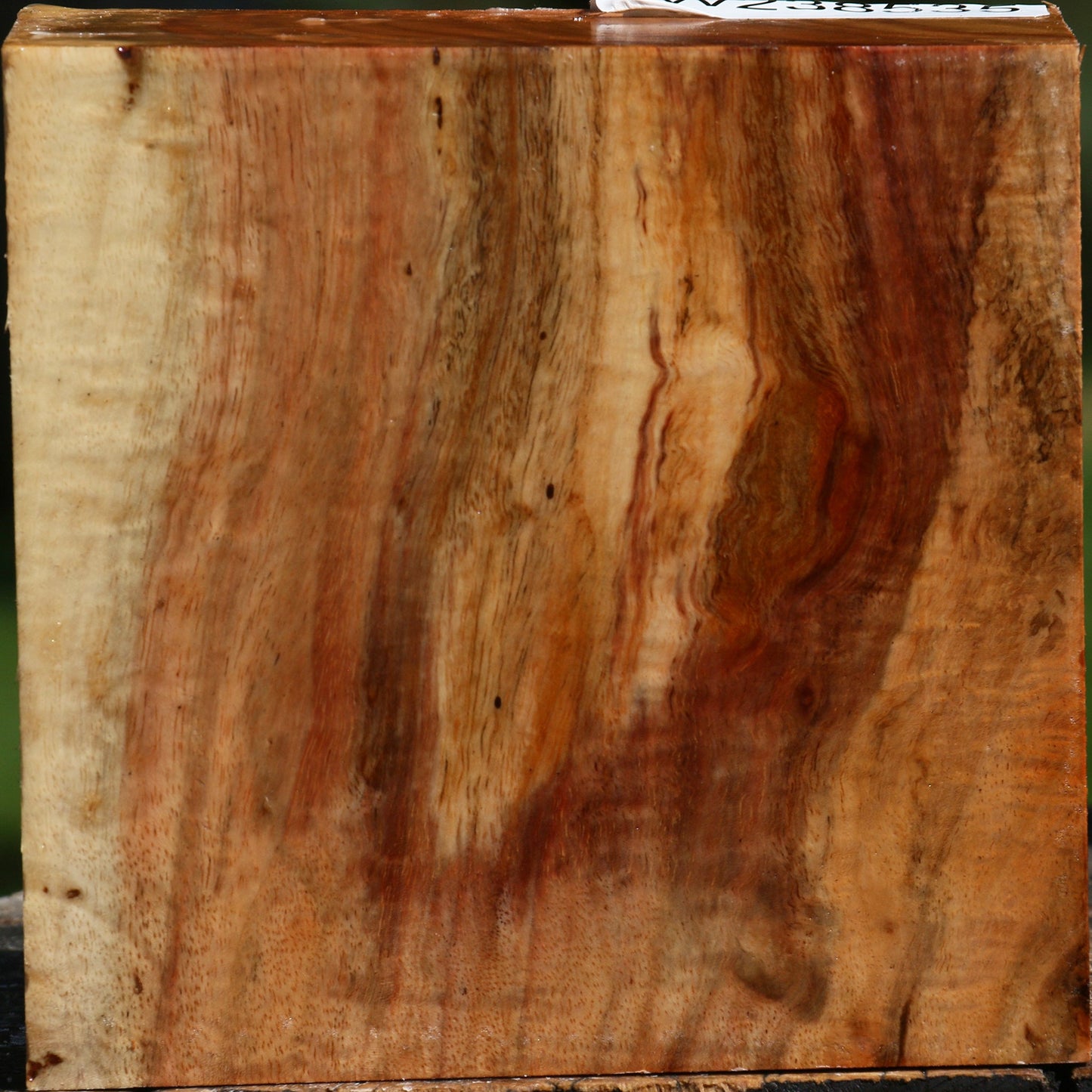 Extra Fancy Carob Bowl Blank