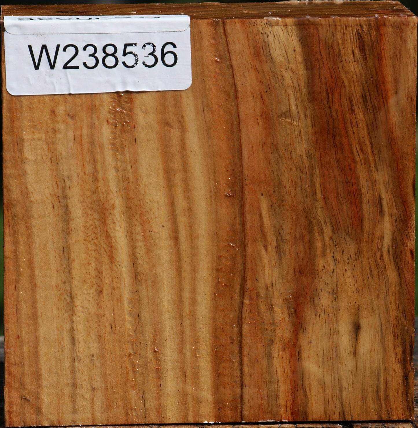 Figured Carob Bowl Blank