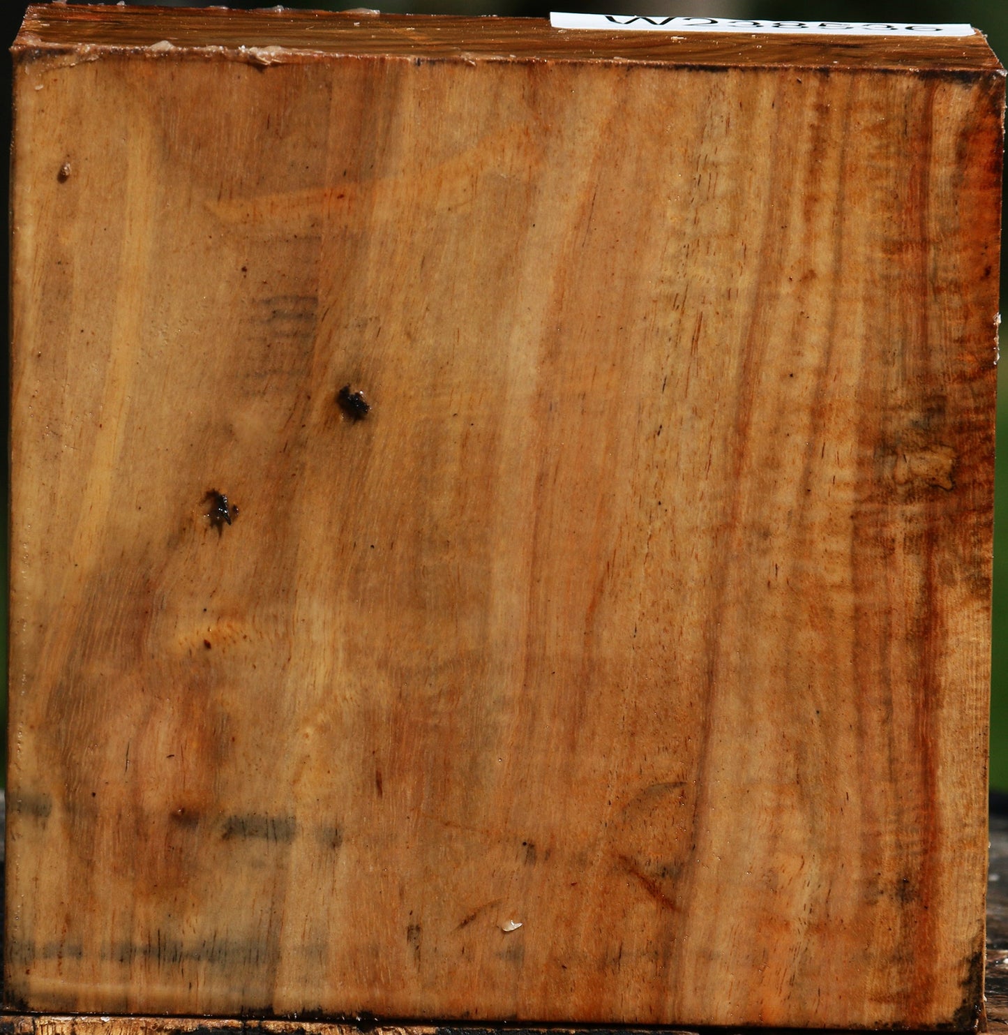 Figured Carob Bowl Blank